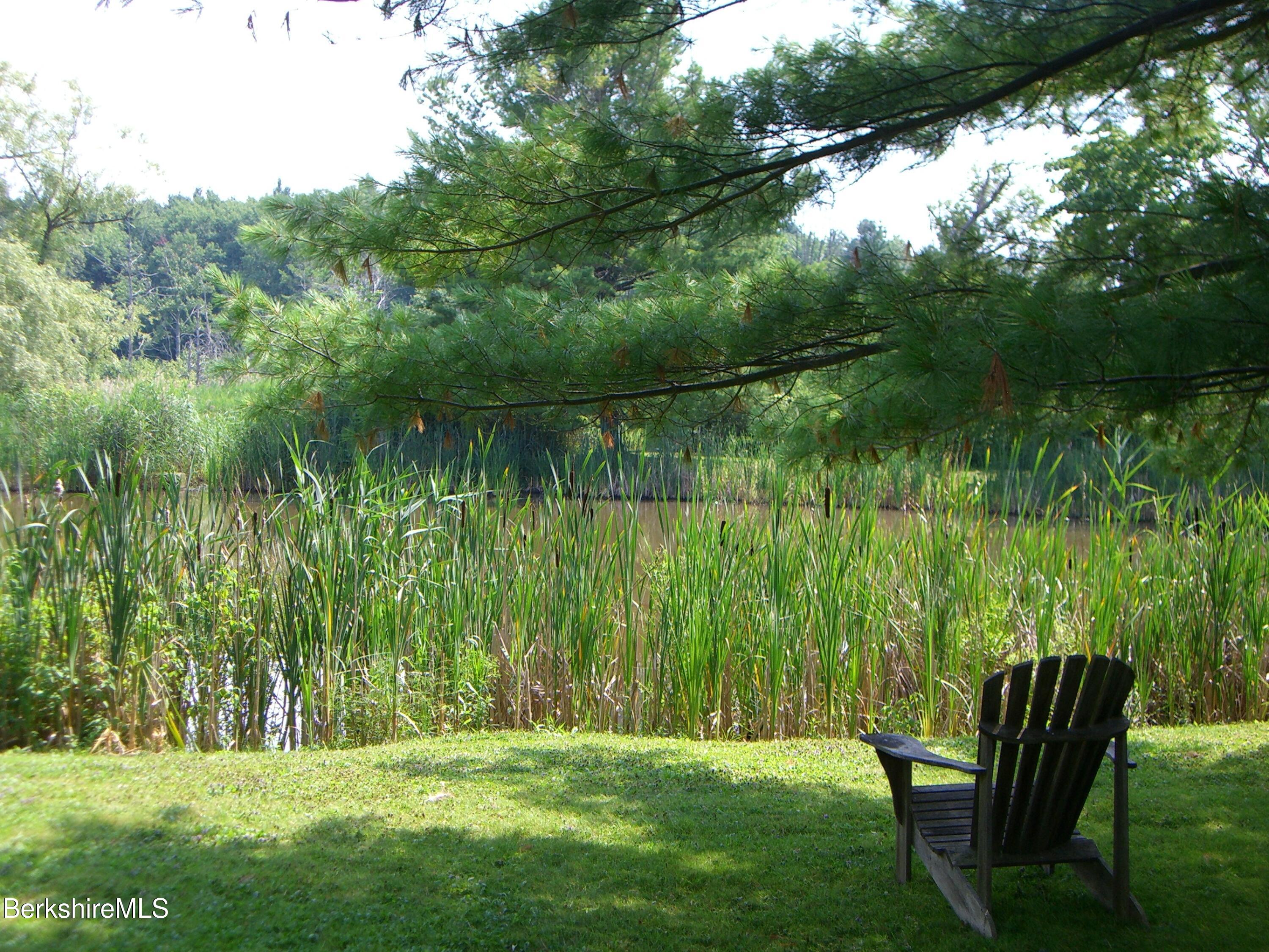2 Wallace Rd #2E, Stockbridge, Massachusetts image 50