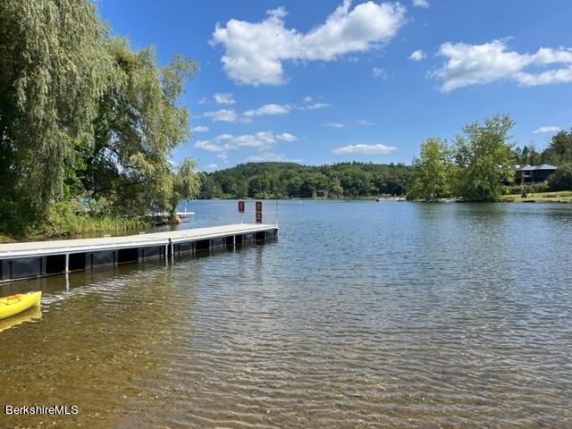 Goose Pond Rd, Tyringham, Massachusetts image 7