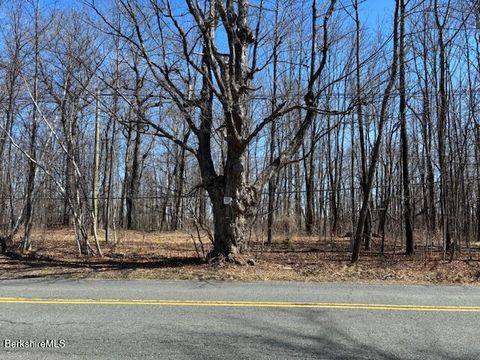 Vacant Land For Sale - Bonny Rigg Hill Rd<br/> Becket, MA 01223