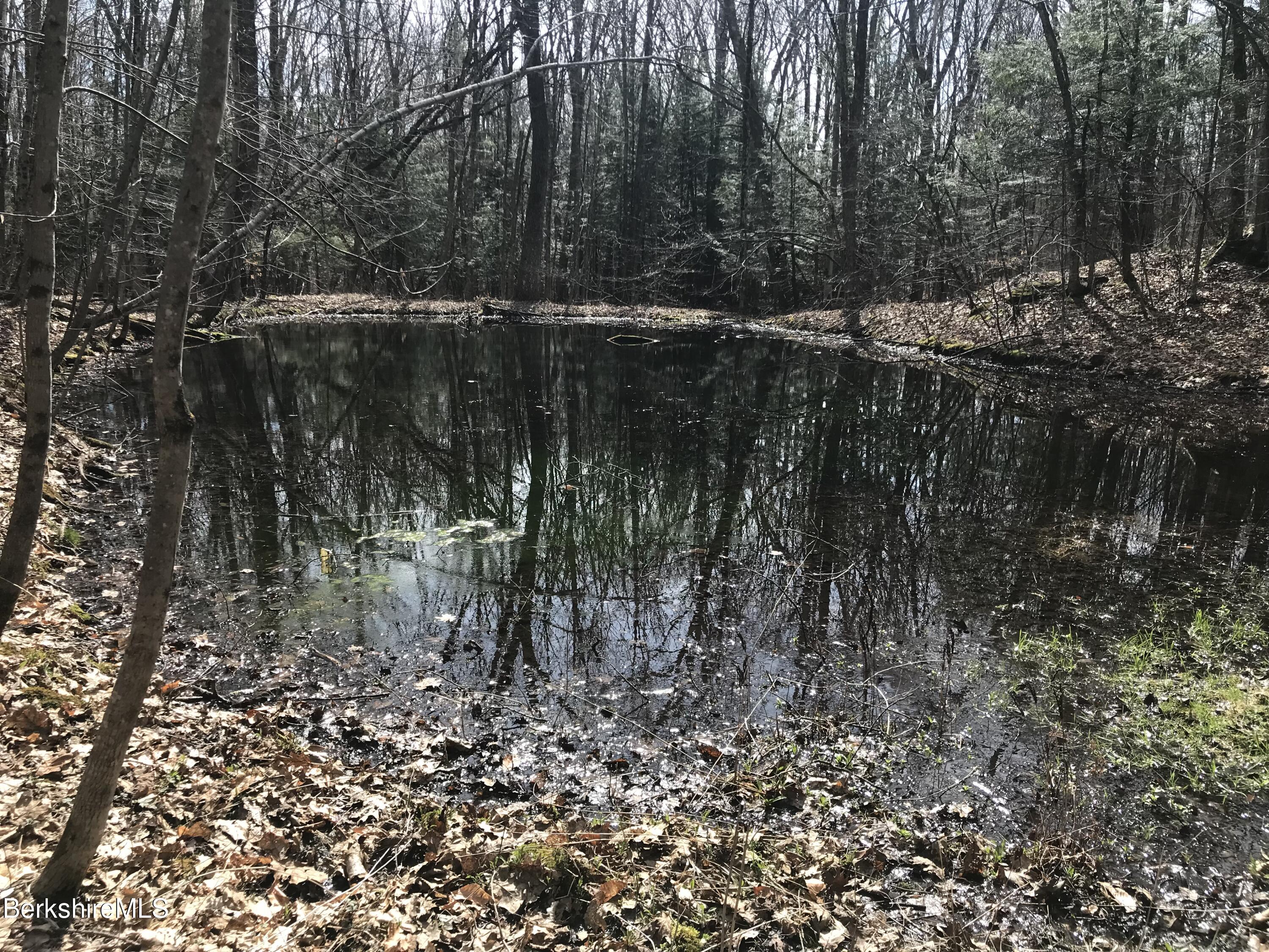 Rosenberg Lot # 38 Rd, Lanesborough, Massachusetts image 4