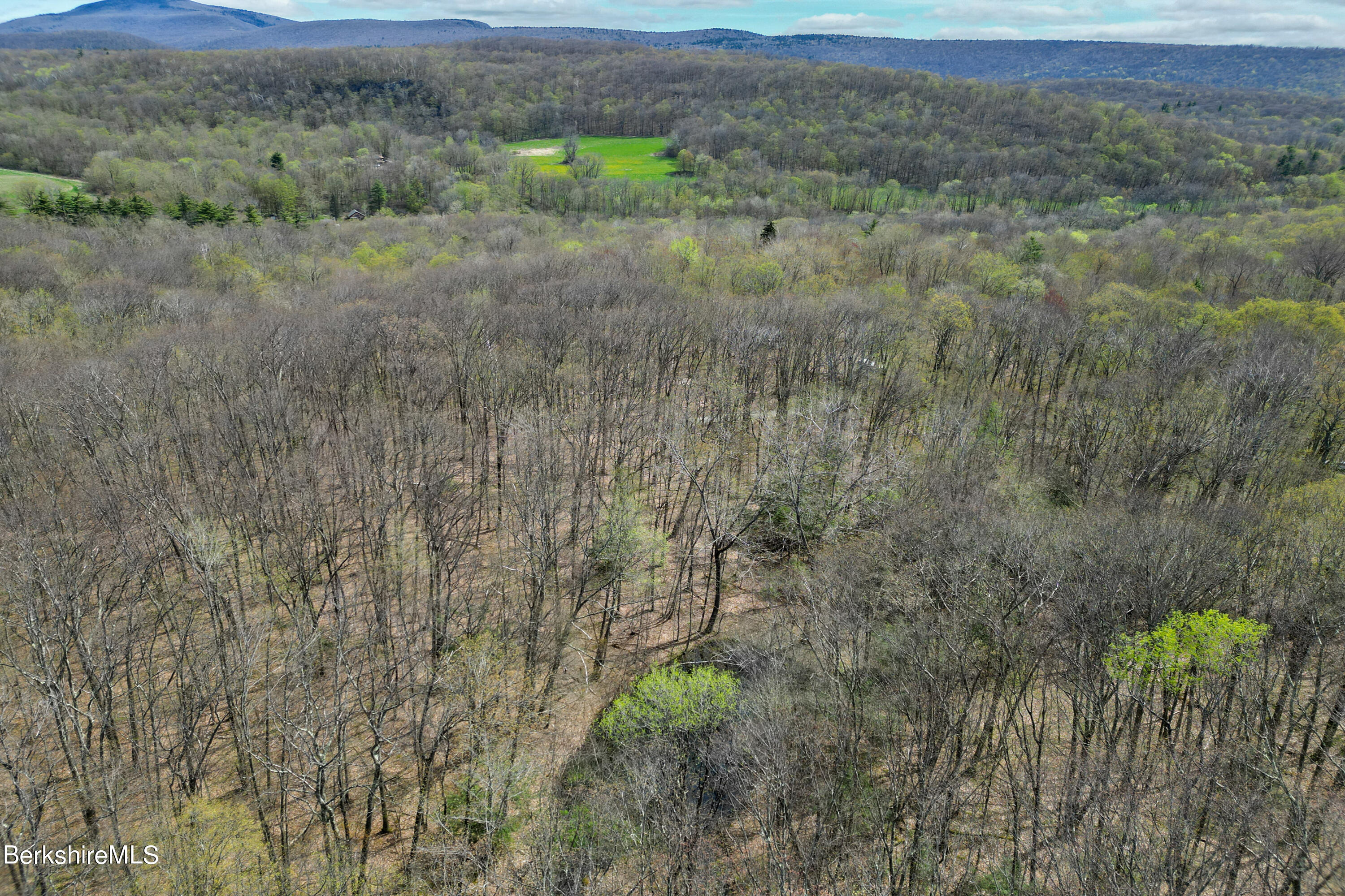 Rosenberg Lot # 38 Rd, Lanesborough, Massachusetts image 7