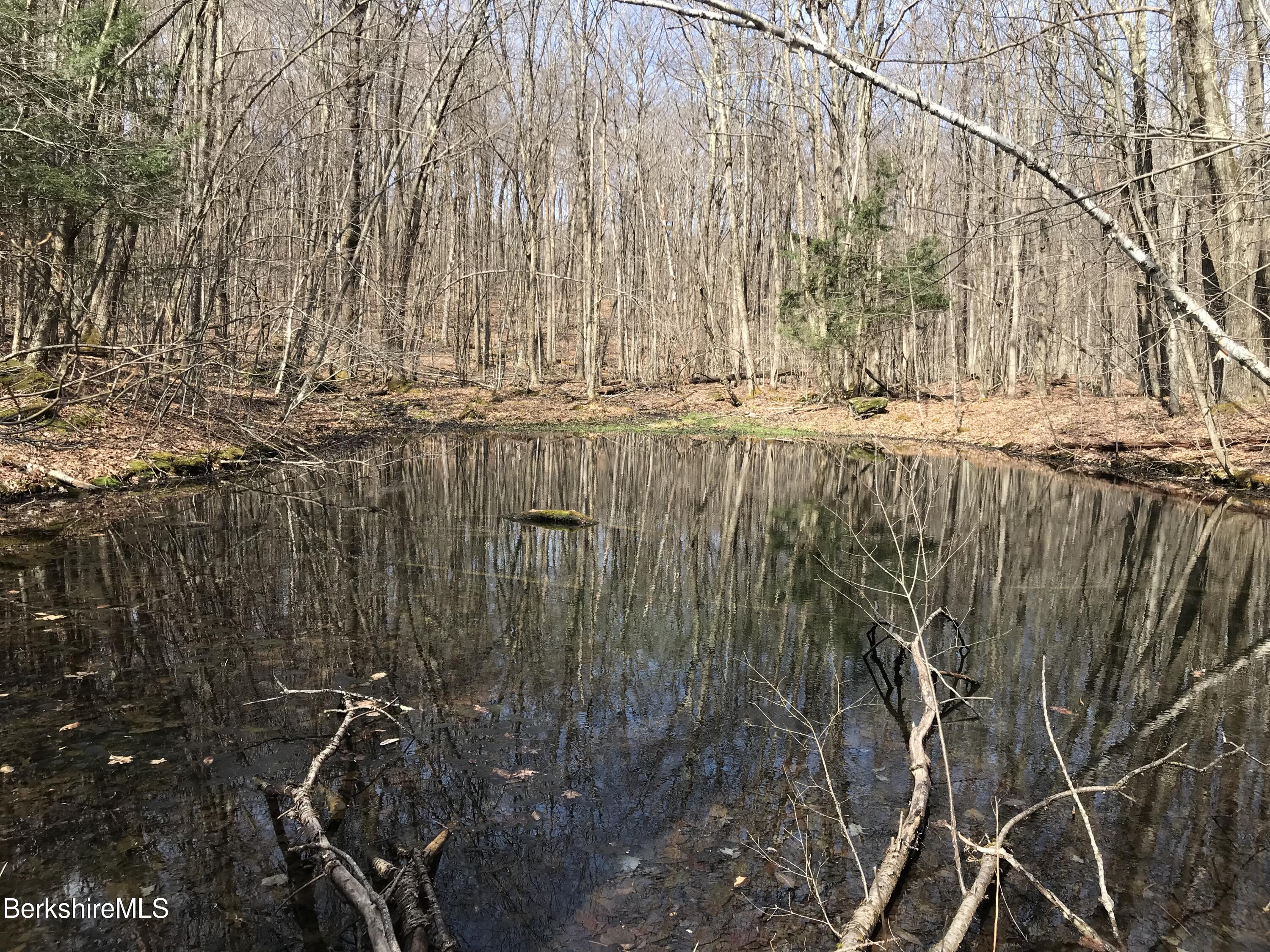 Rosenberg Lot # 38 Rd, Lanesborough, Massachusetts image 3