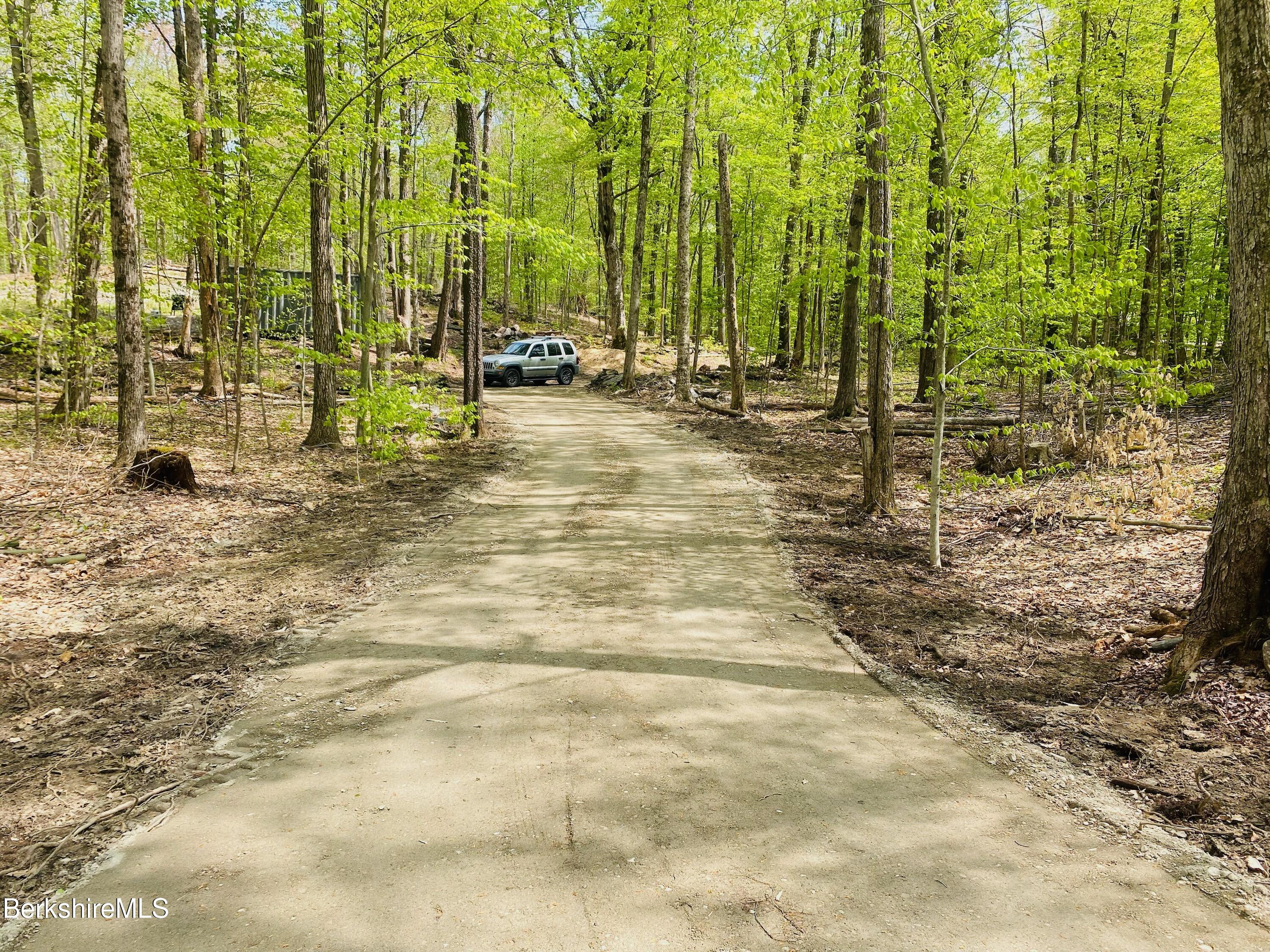 Rosenberg Lot # 38 Rd, Lanesborough, Massachusetts image 2