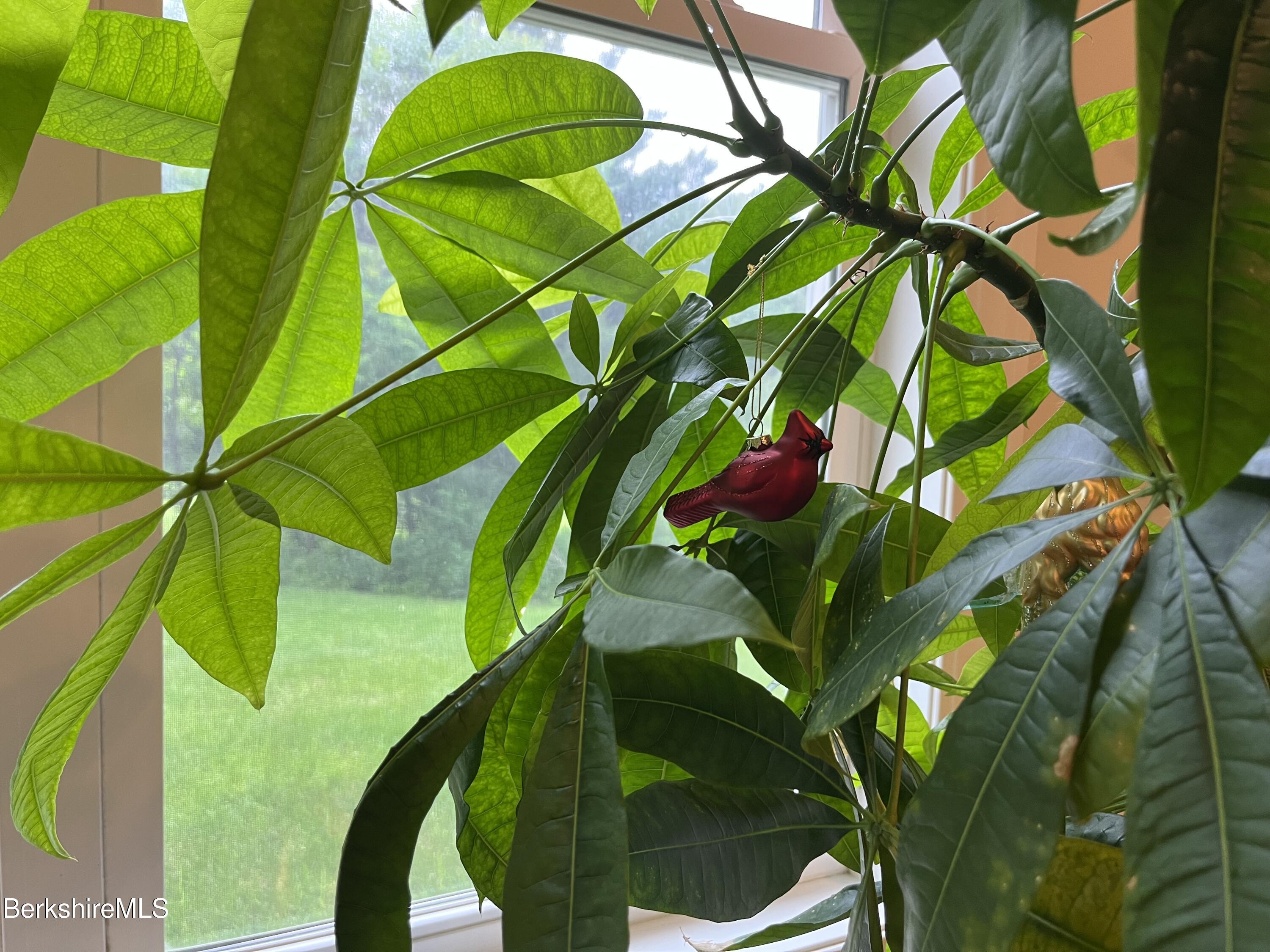 Lenox, Massachusetts 01240, United States, 3 Bedrooms Bedrooms, ,3 BathroomsBathrooms,Residential,Active,151538