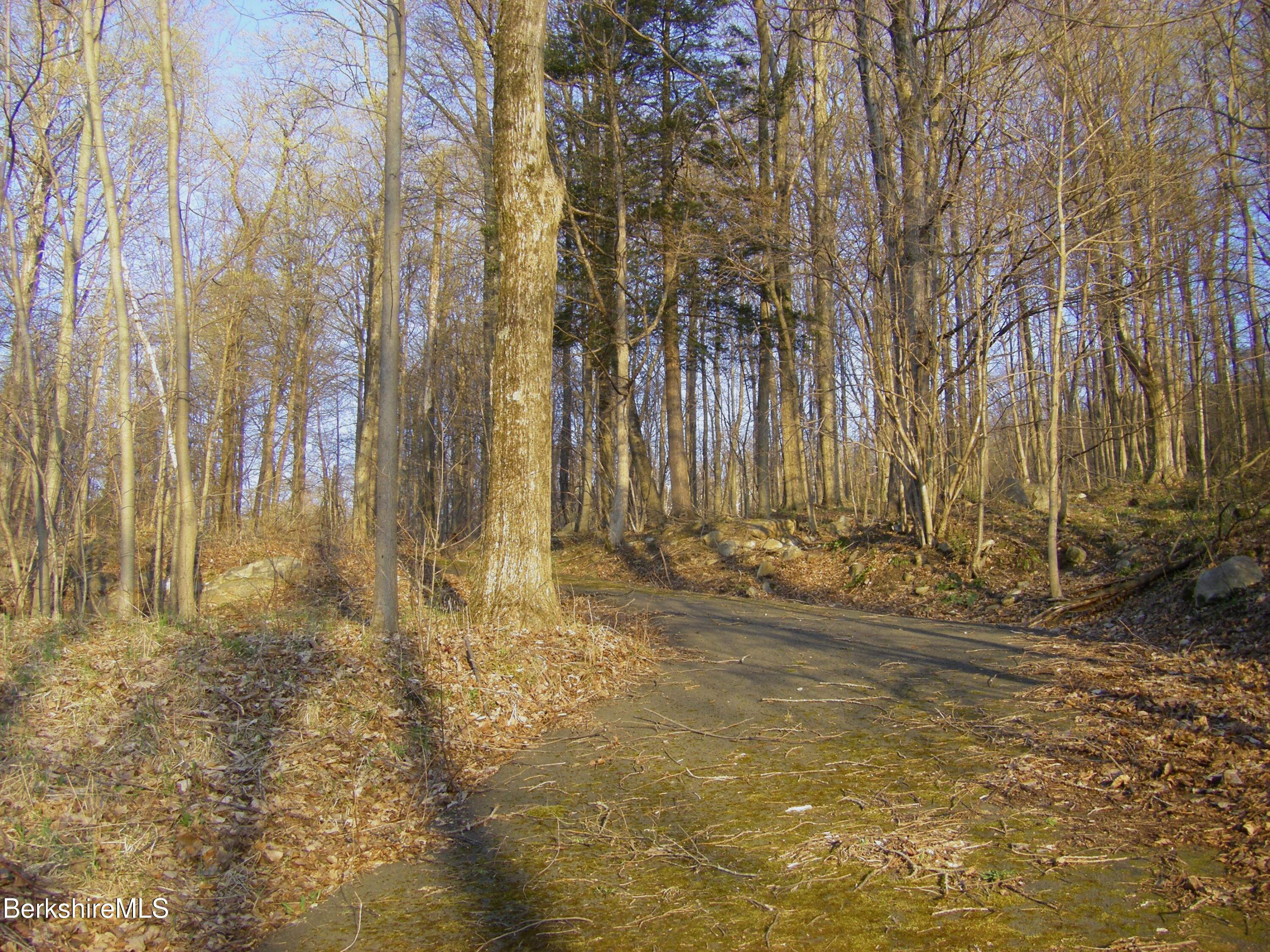 Notch Rd, North Adams, Massachusetts image 9