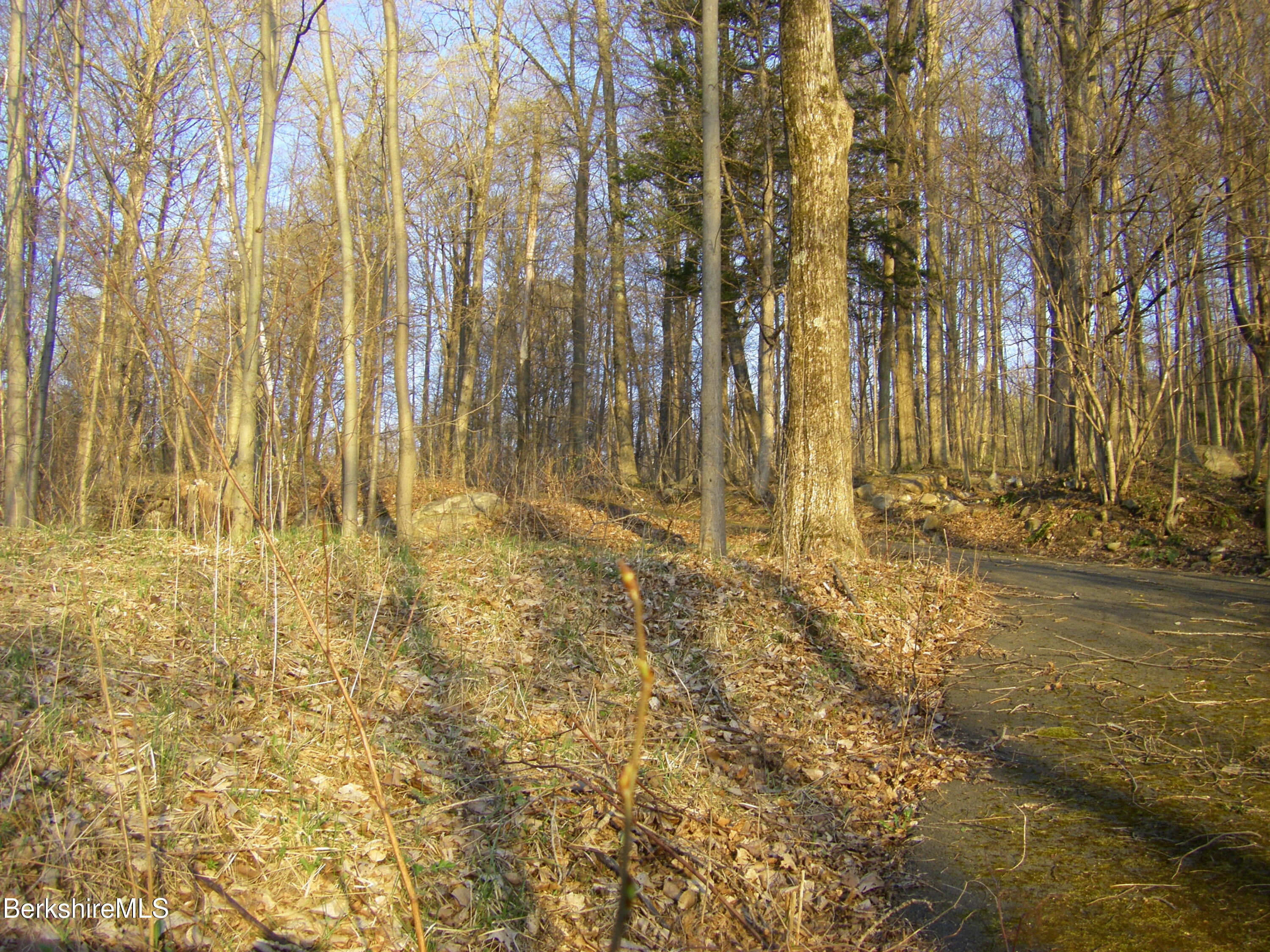Notch Rd, North Adams, Massachusetts image 7