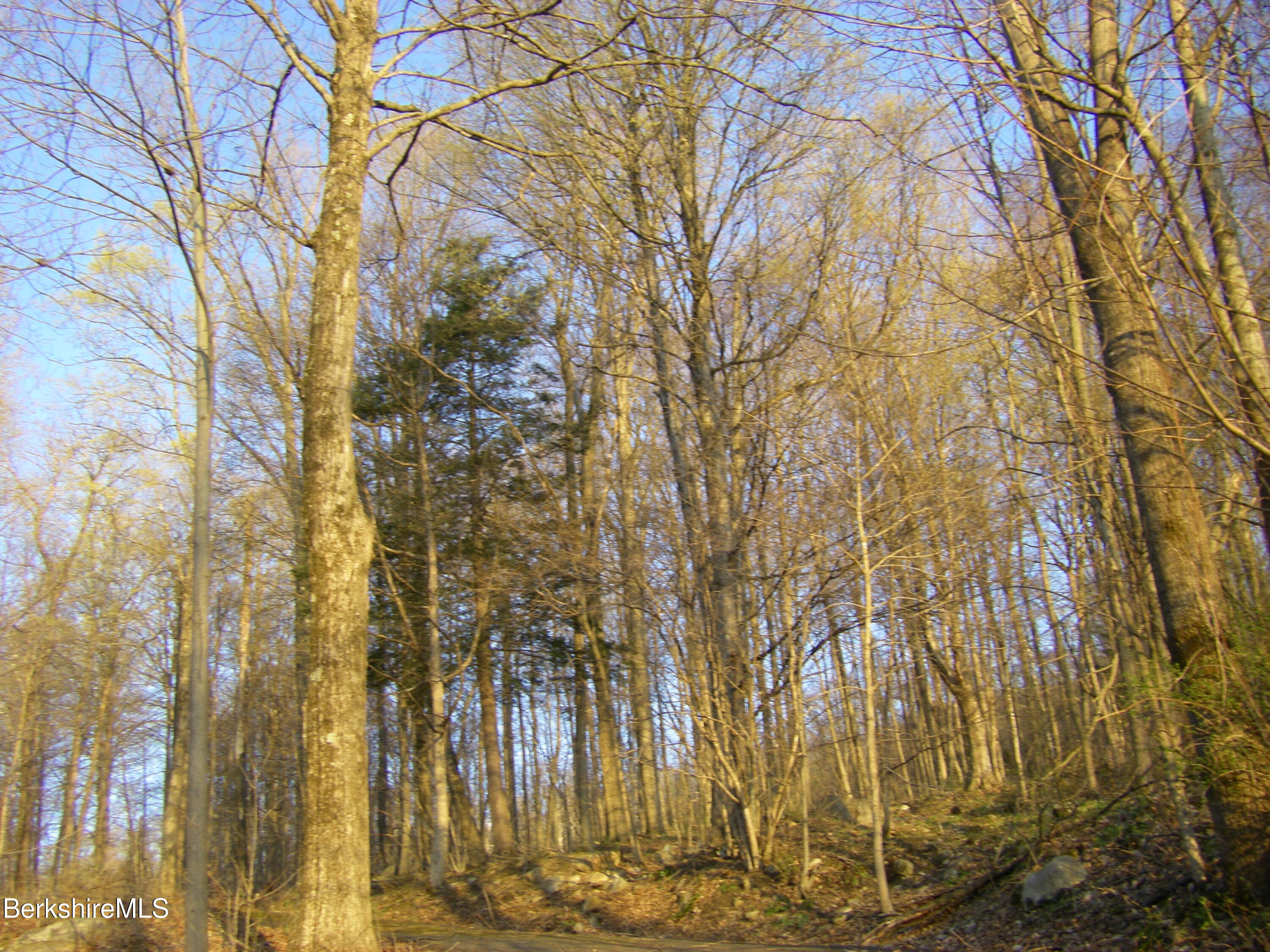 Notch Rd, North Adams, Massachusetts image 6
