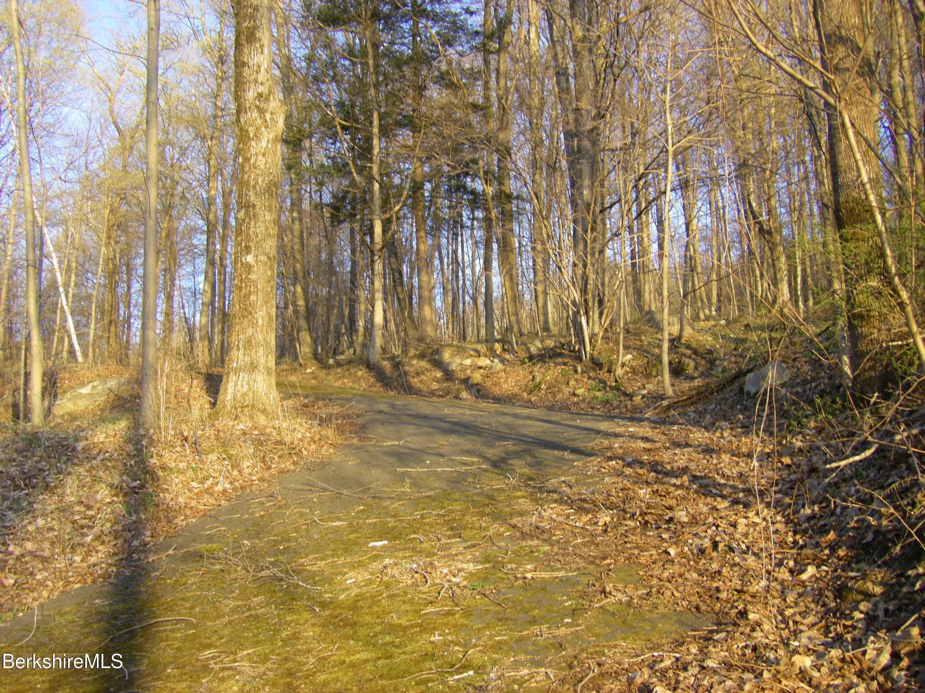 Notch Rd, North Adams, Massachusetts image 5