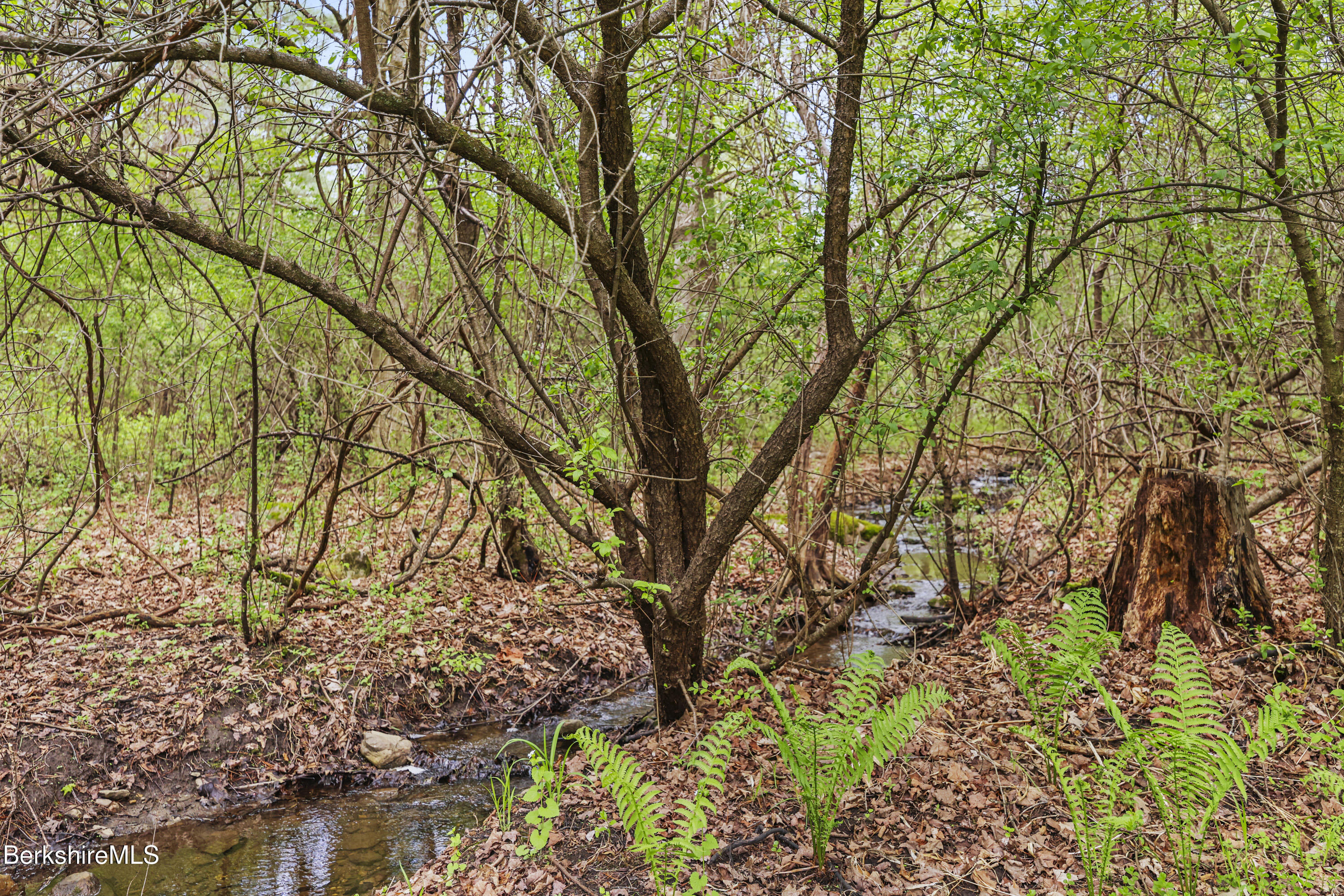 126 Christian Hill Rd, Great Barrington, Massachusetts image 35