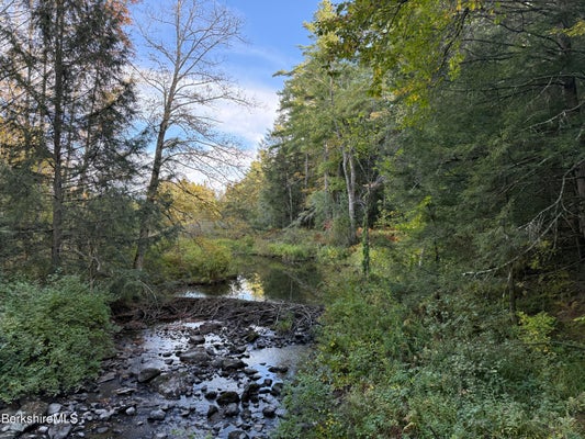 GOULD RD, MONTEREY, MA 01245 - Image dab93d709fc8eaf5e35ae4e4499743b4/2805798495