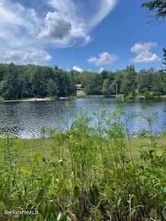 245 Dwolfe Dr, Otis, Massachusetts image 7