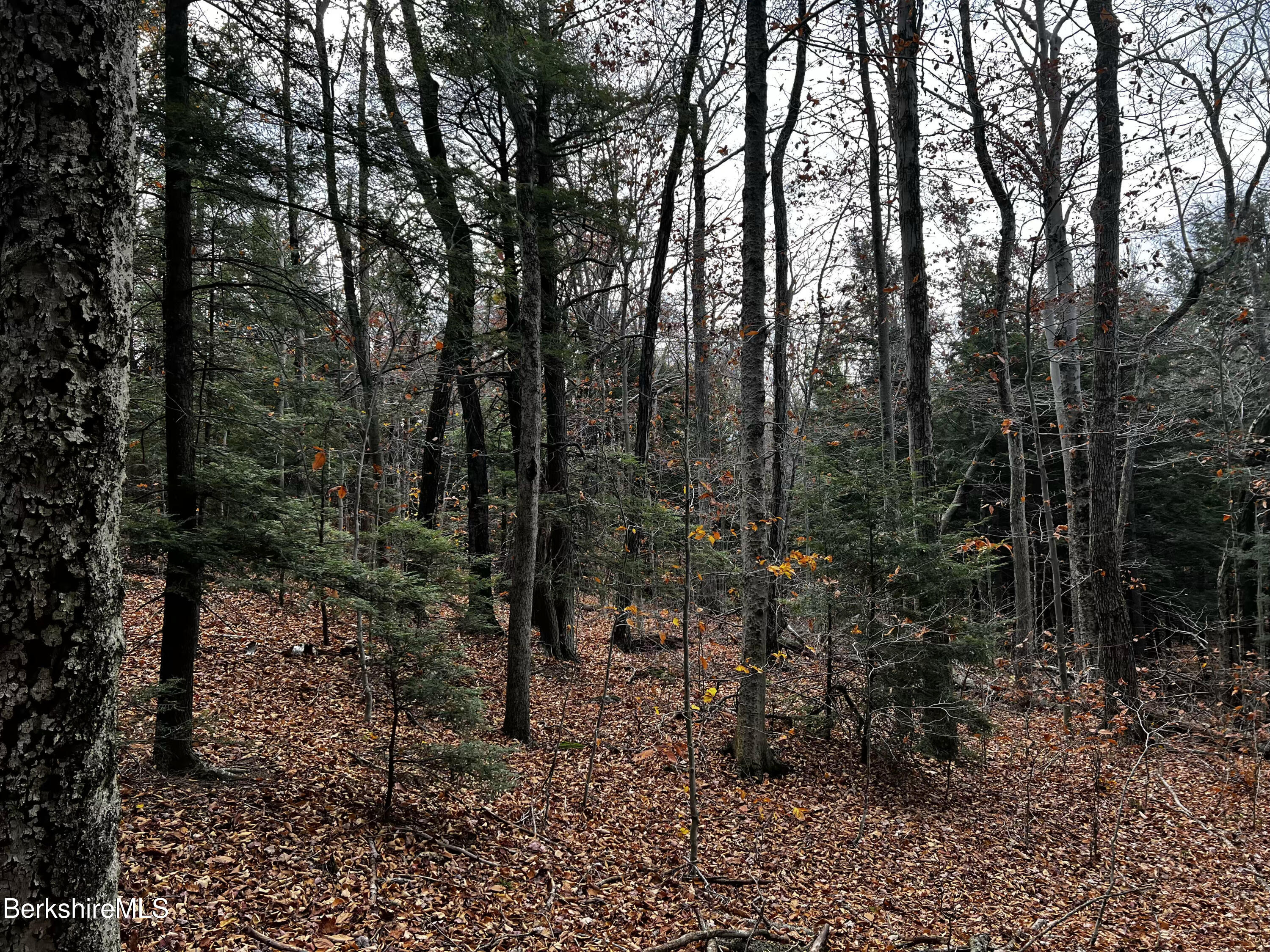 Lot 83 Moberg Rd, Becket, Massachusetts image 2