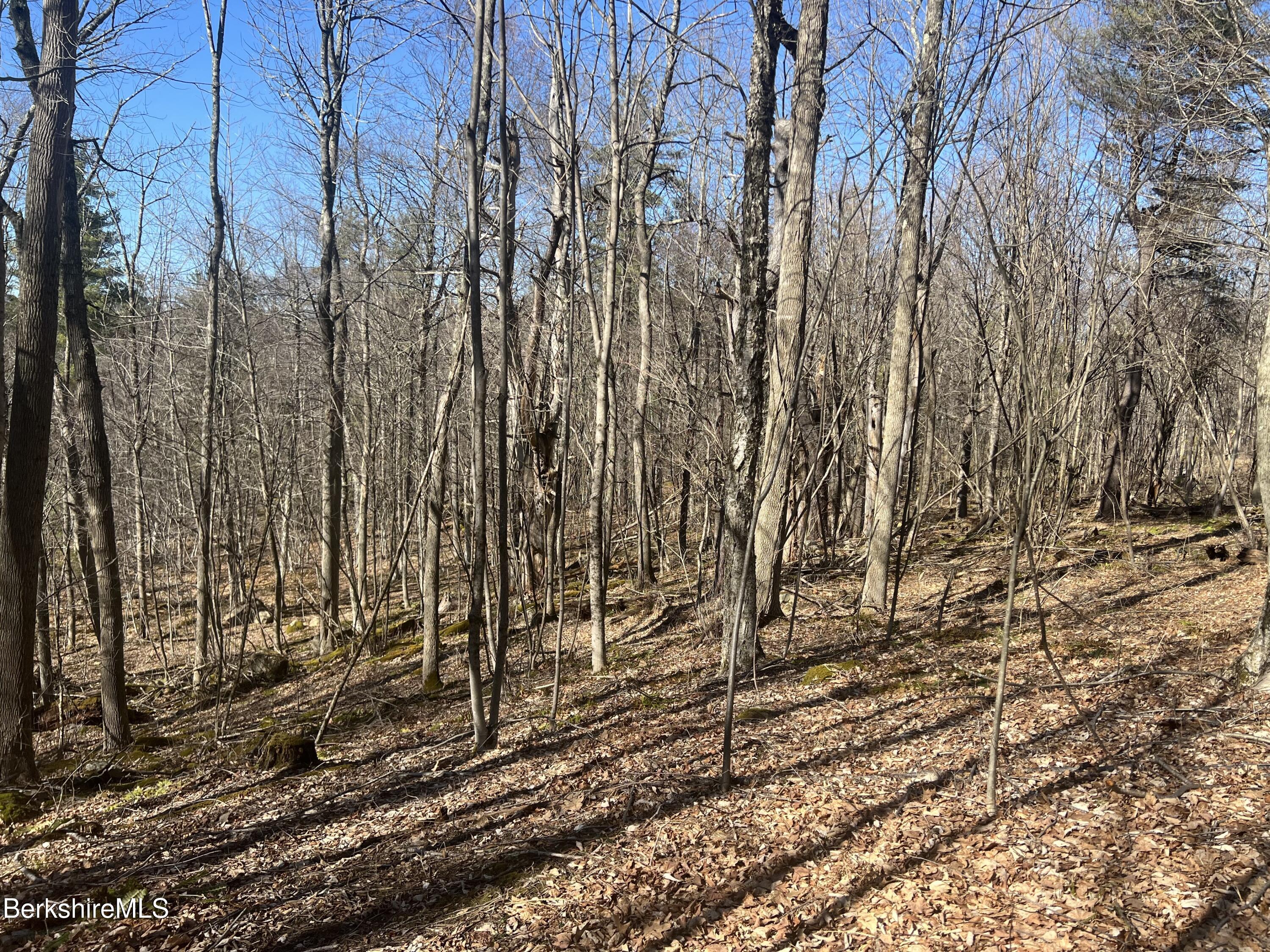 Goose Pond Rd, Tyringham, Massachusetts image 1