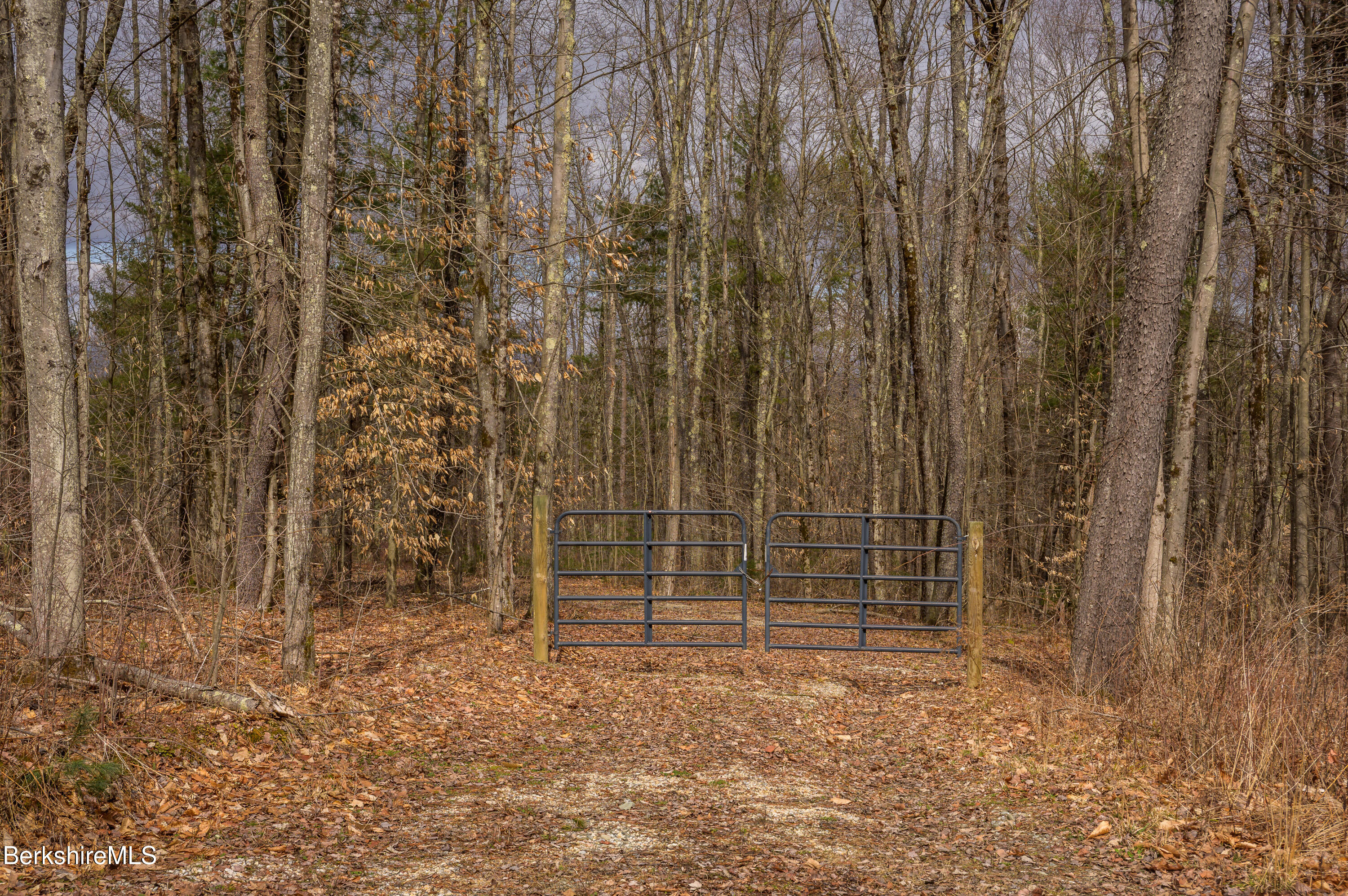 Swamp Rd, Richmond, Massachusetts image 2