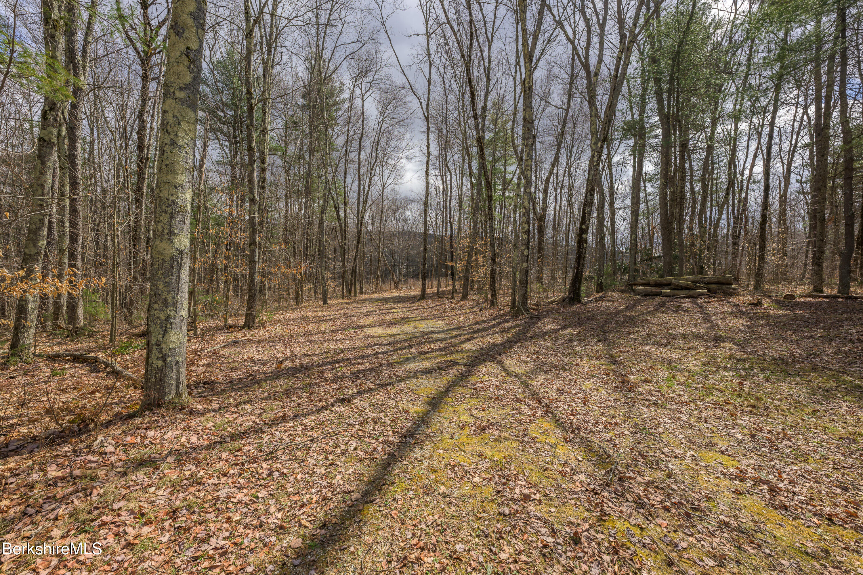 Swamp Rd, Richmond, Massachusetts image 4