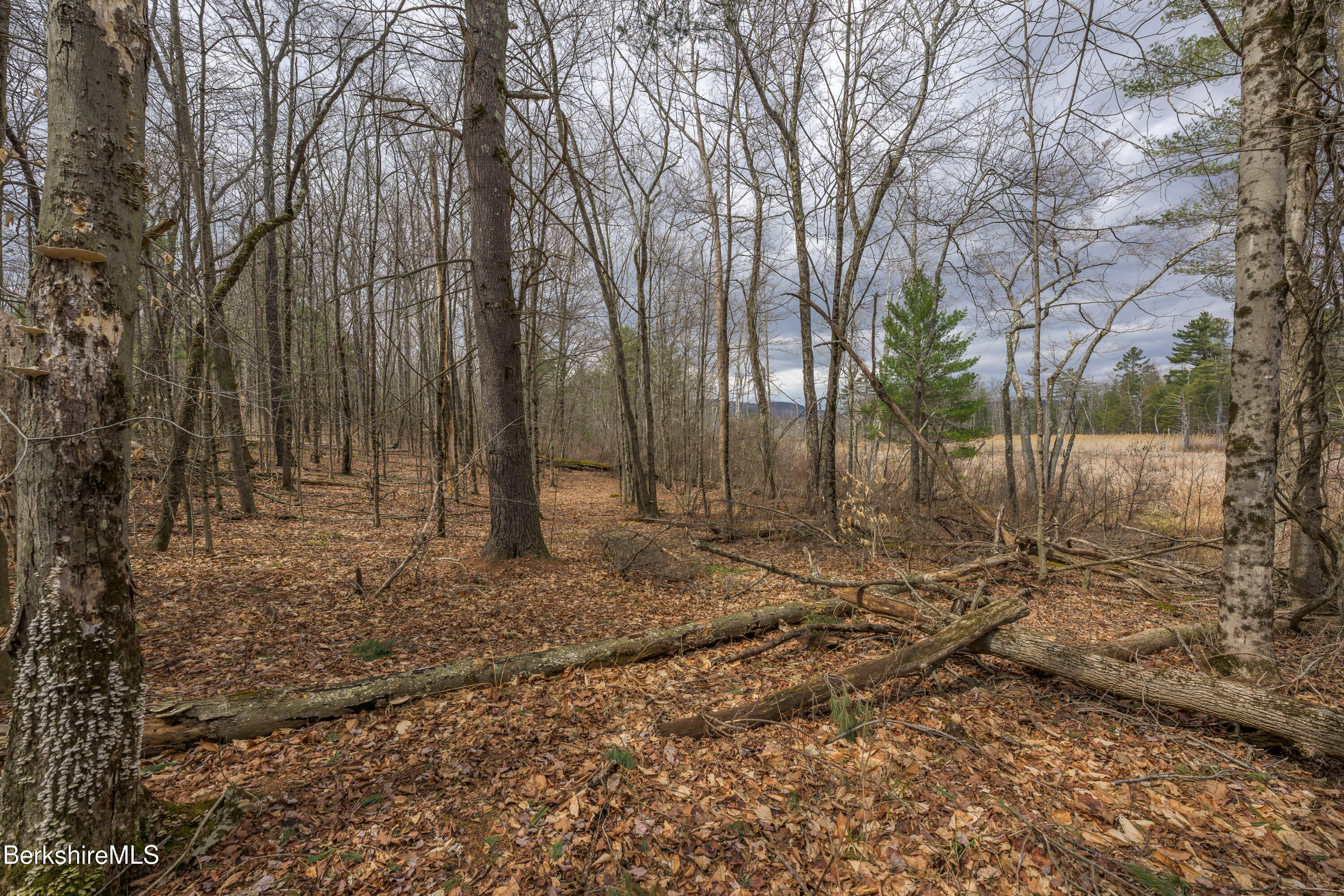 Swamp Rd, Richmond, Massachusetts image 20