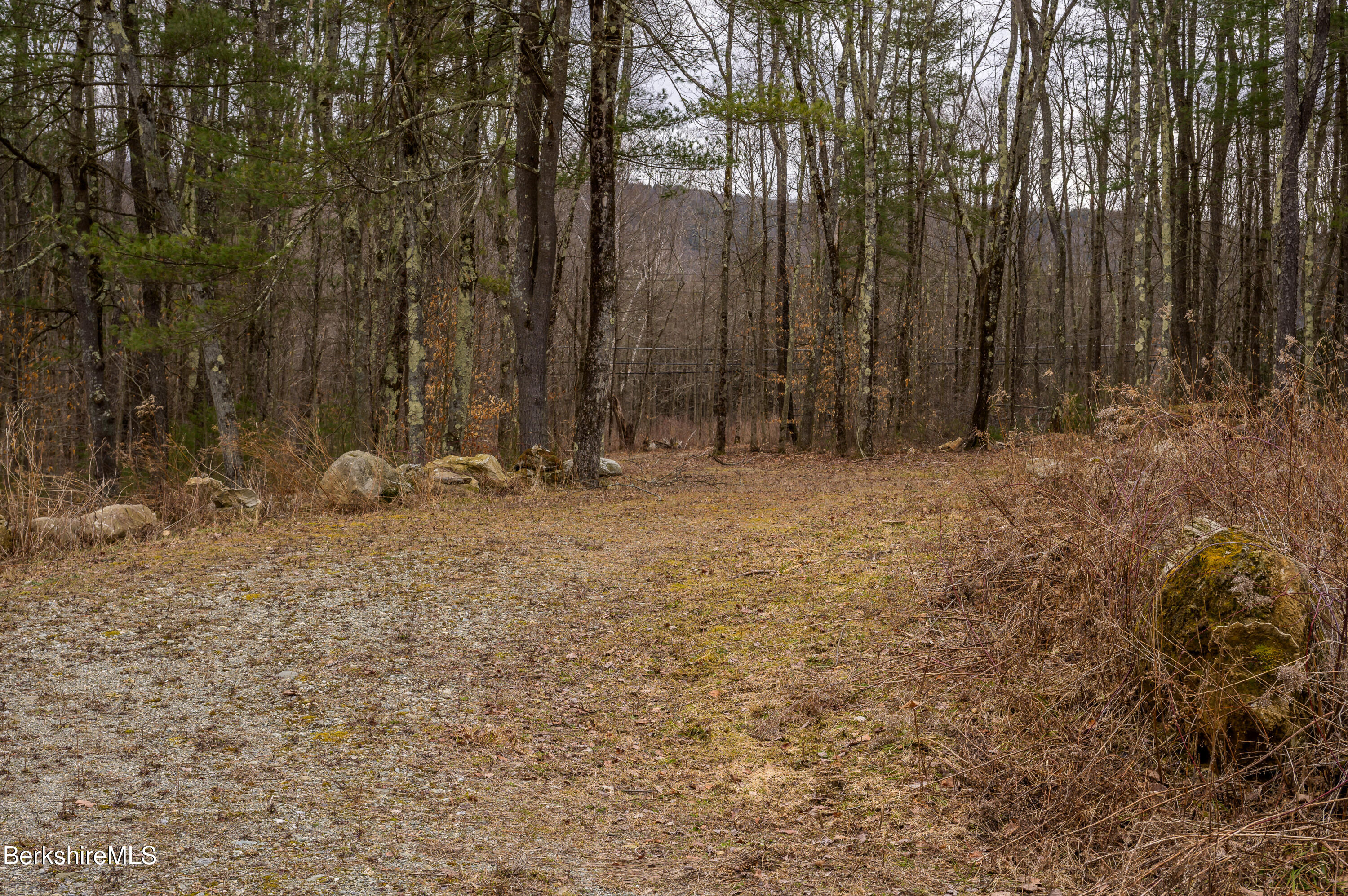 Swamp Rd, Richmond, Massachusetts image 6