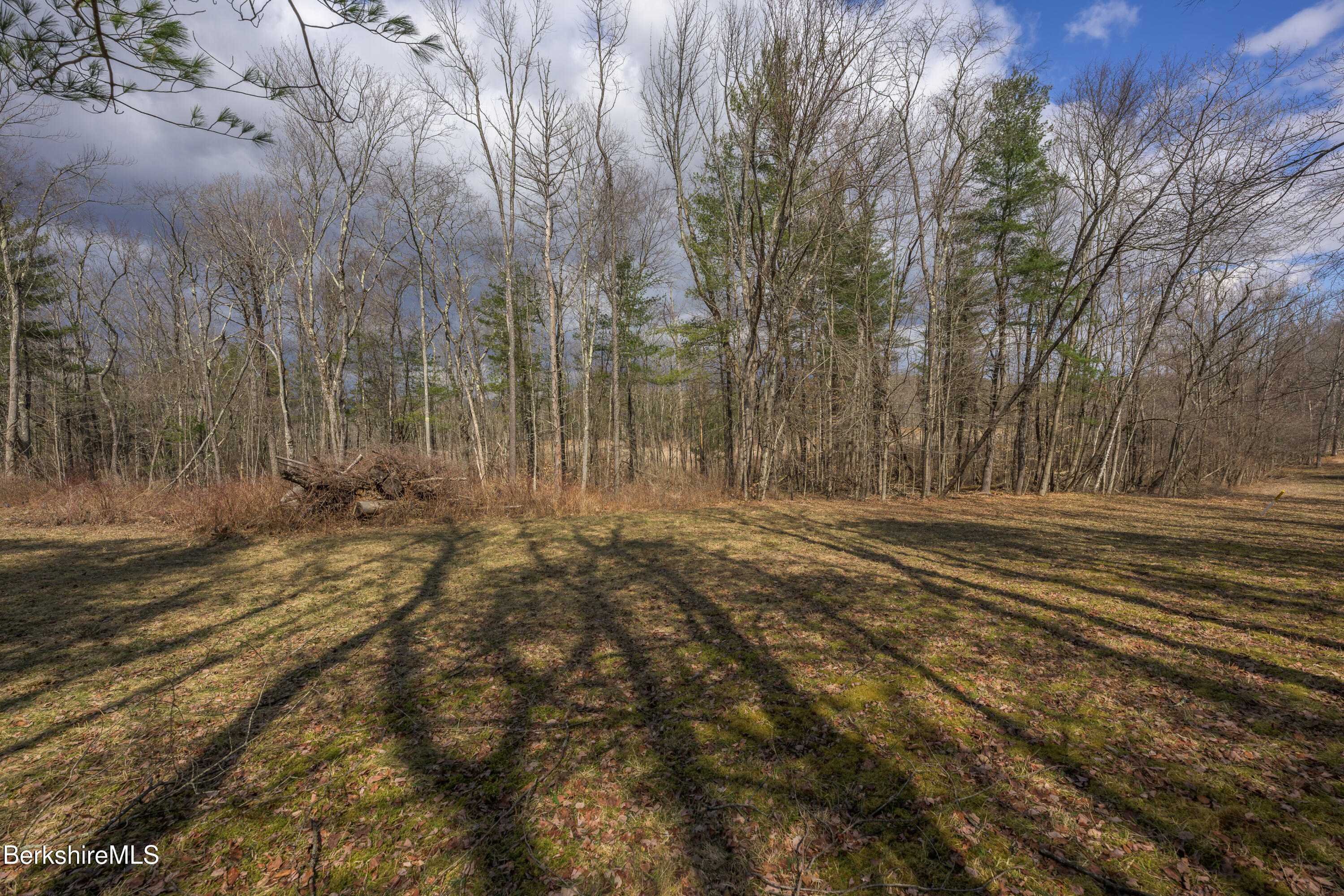 Swamp Rd, Richmond, Massachusetts image 15
