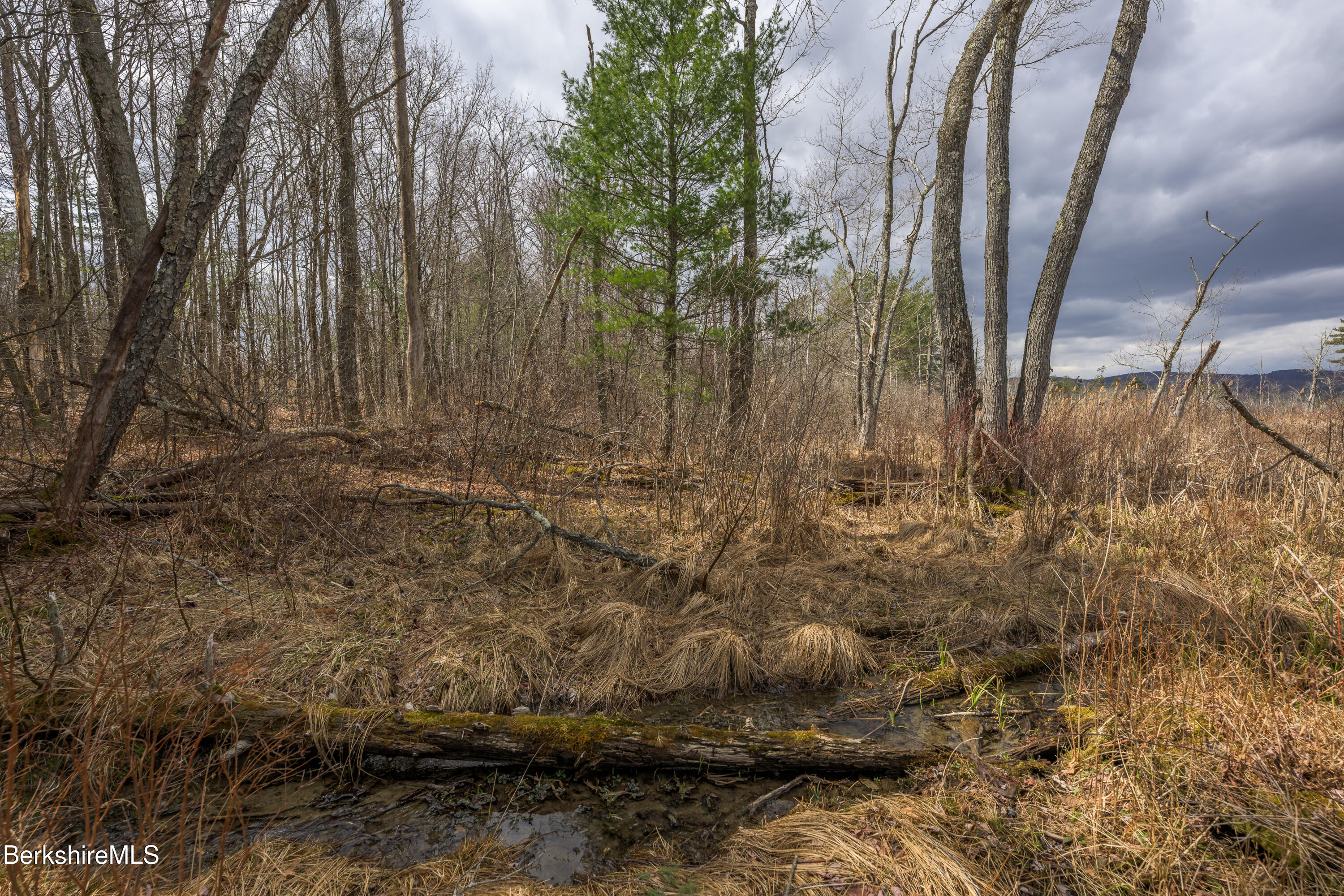 Swamp Rd, Richmond, Massachusetts image 19