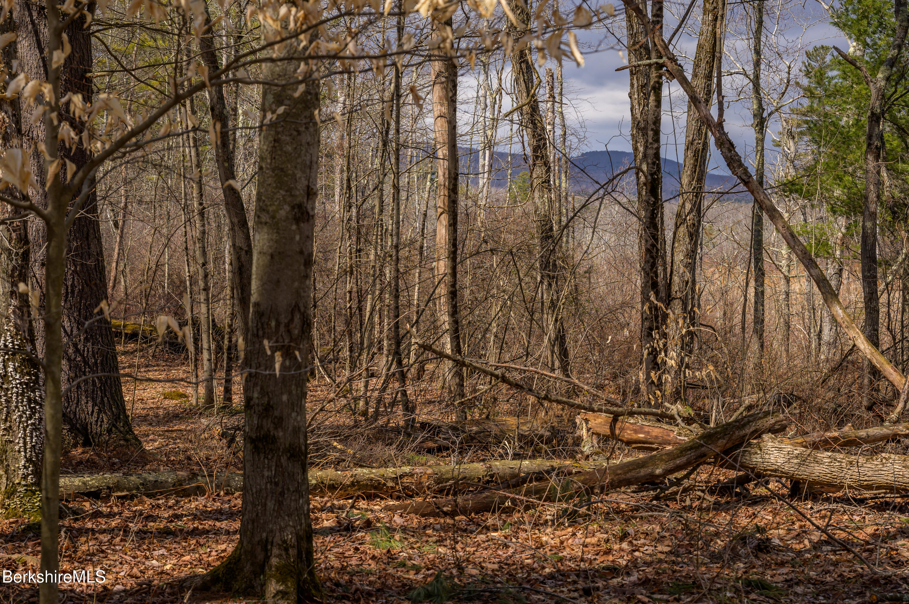 Swamp Rd, Richmond, Massachusetts image 24
