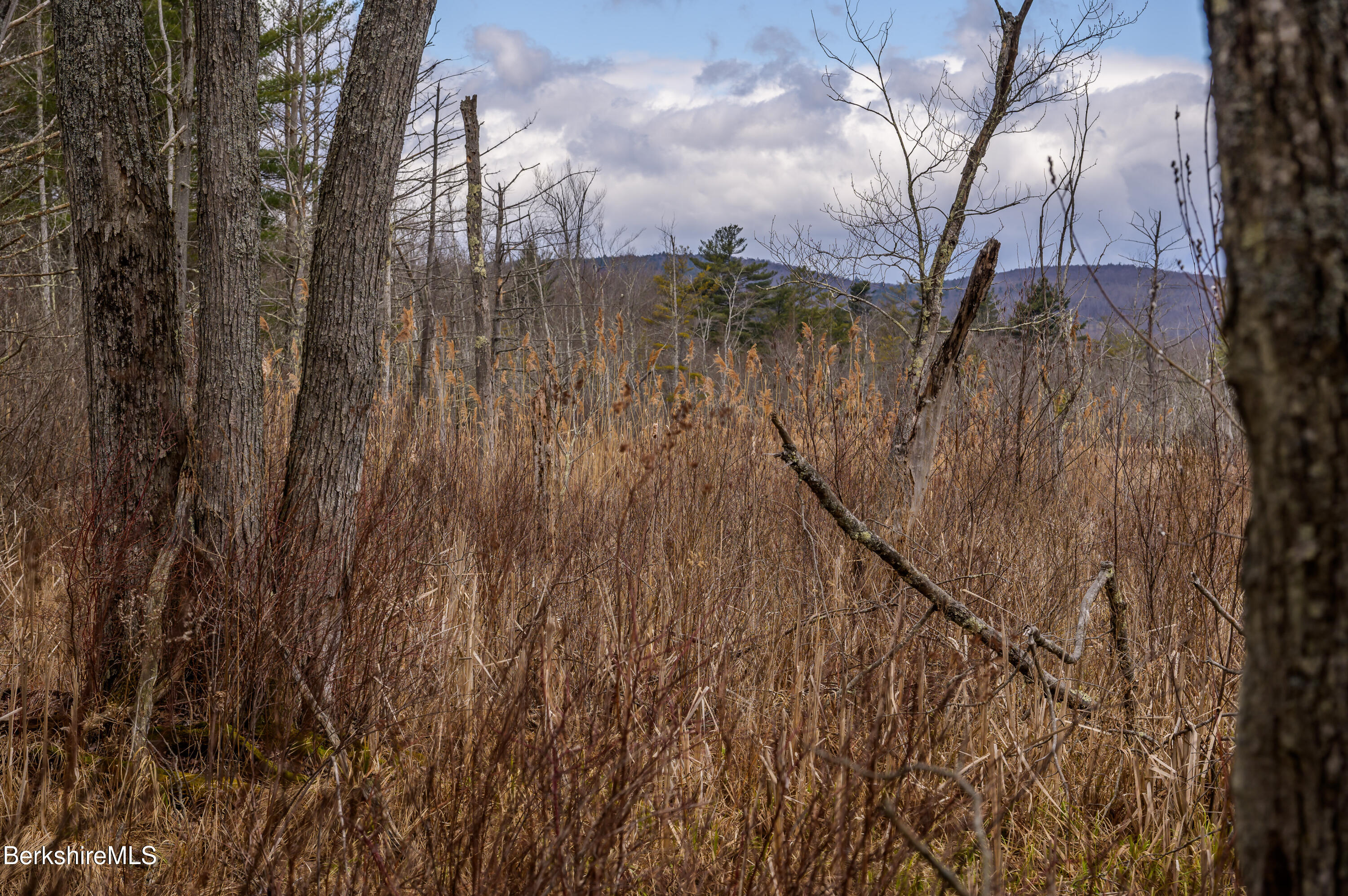 Swamp Rd, Richmond, Massachusetts image 22
