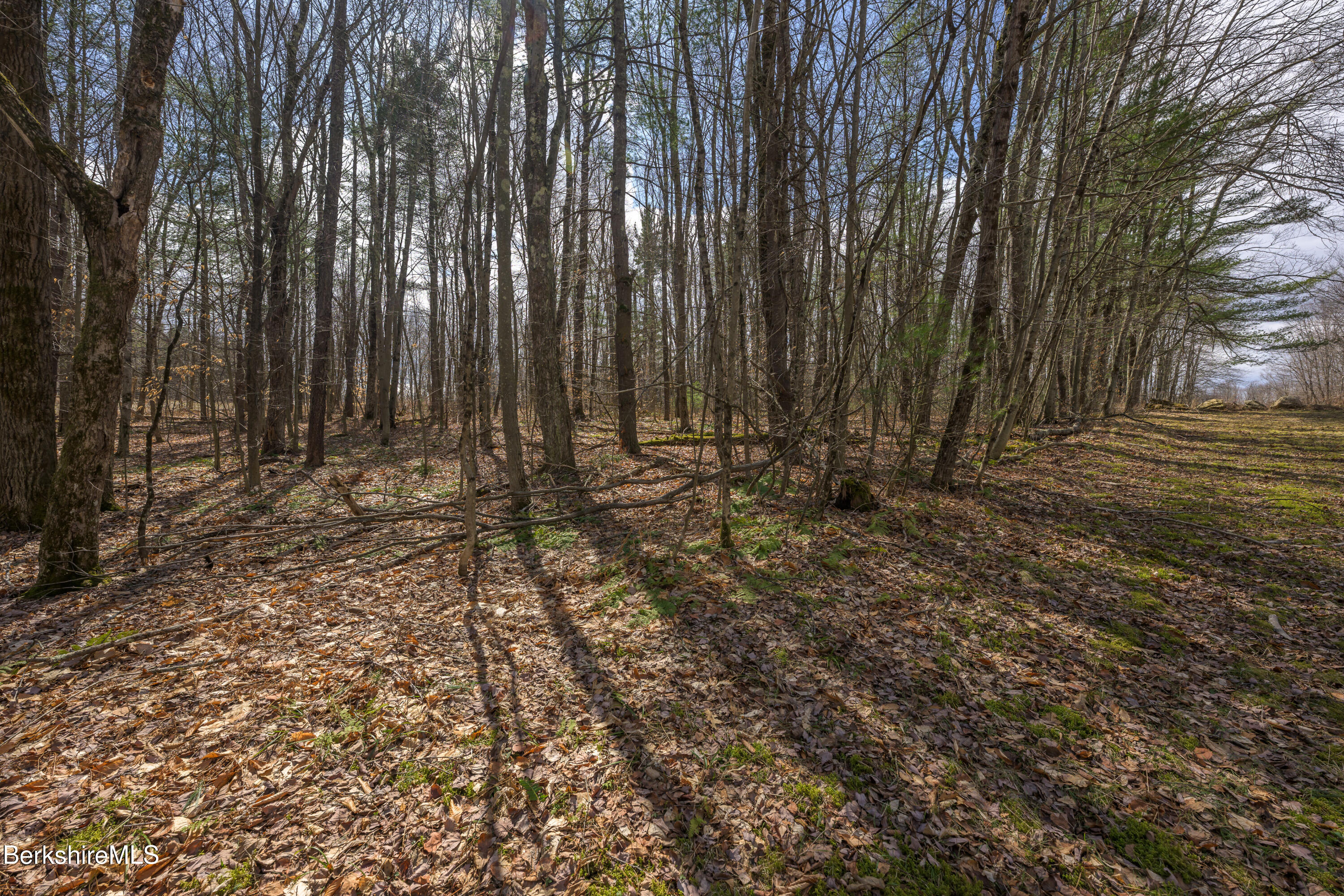 Swamp Rd, Richmond, Massachusetts image 16