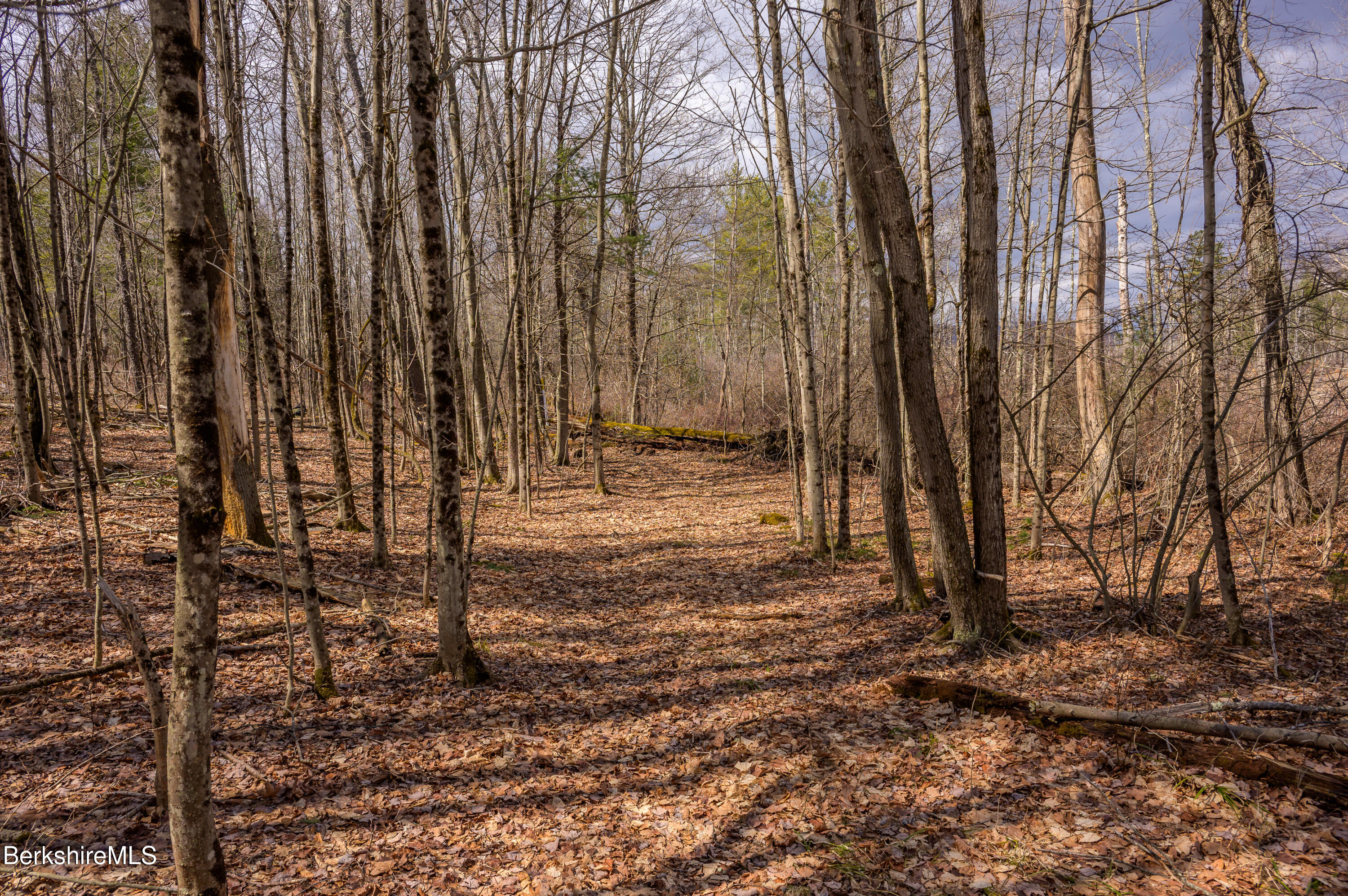 Swamp Rd, Richmond, Massachusetts image 25