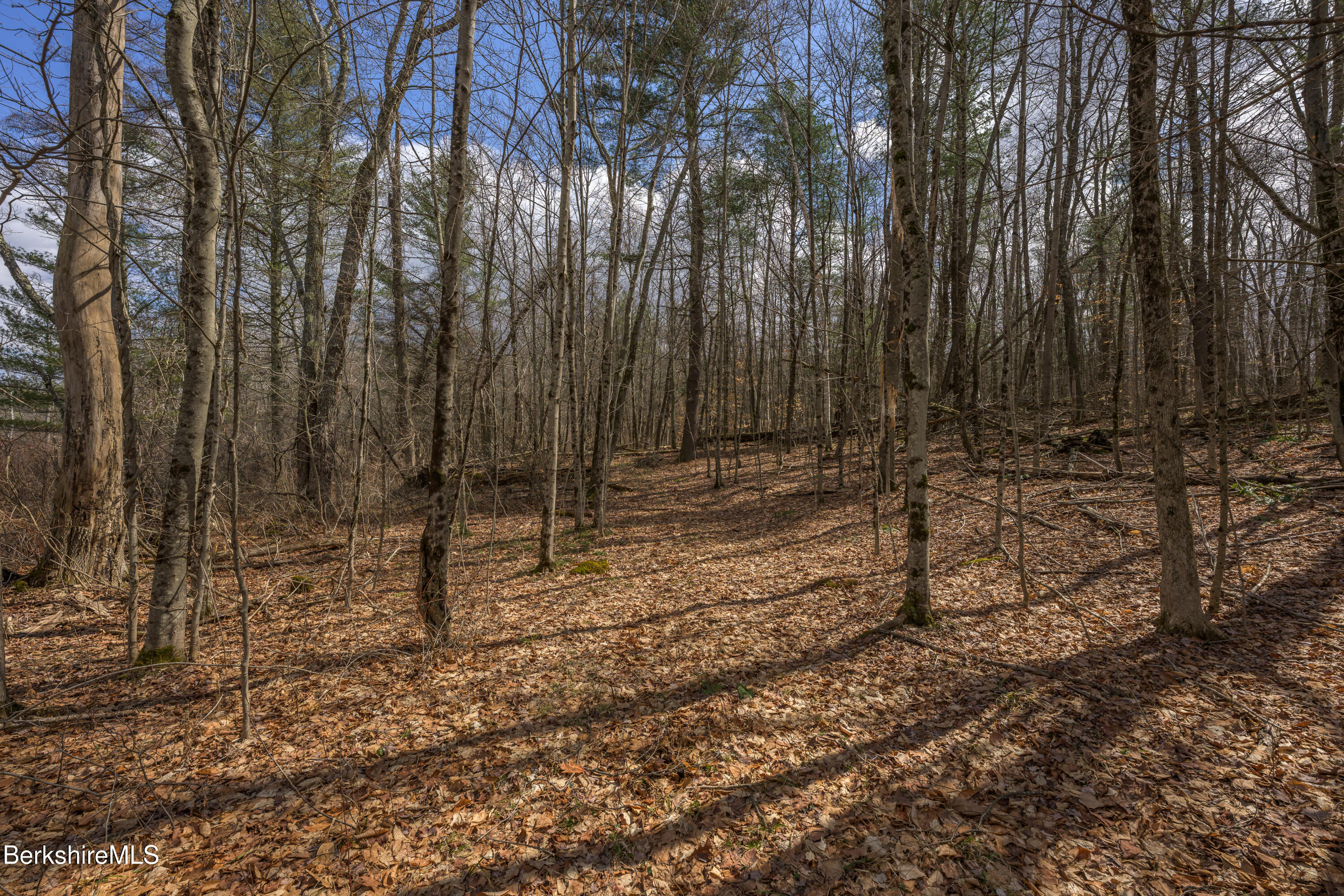 Swamp Rd, Richmond, Massachusetts image 18