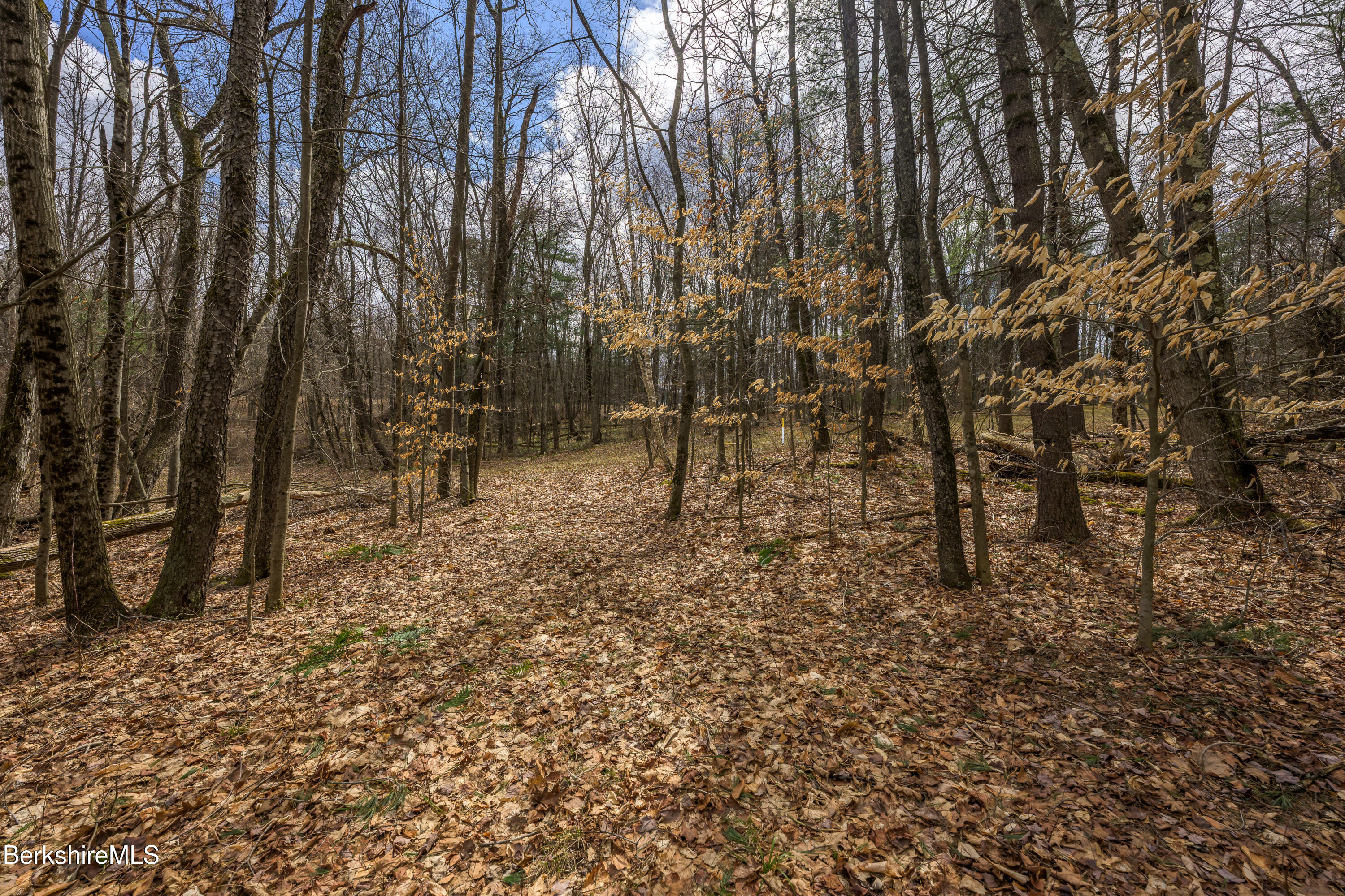 Swamp Rd, Richmond, Massachusetts image 21