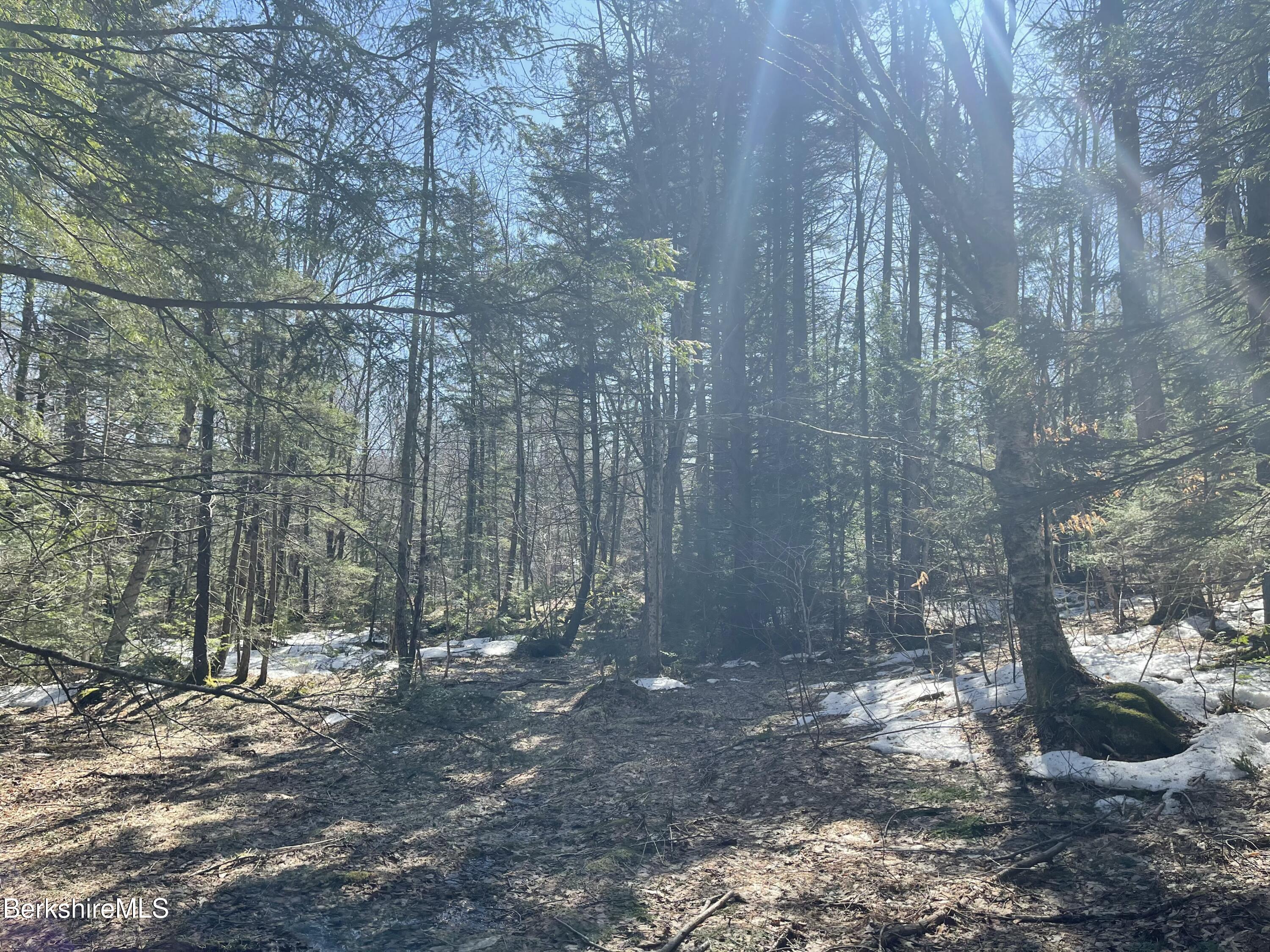 Lot 2 Central Shaft Rd, Florida, Massachusetts image 6
