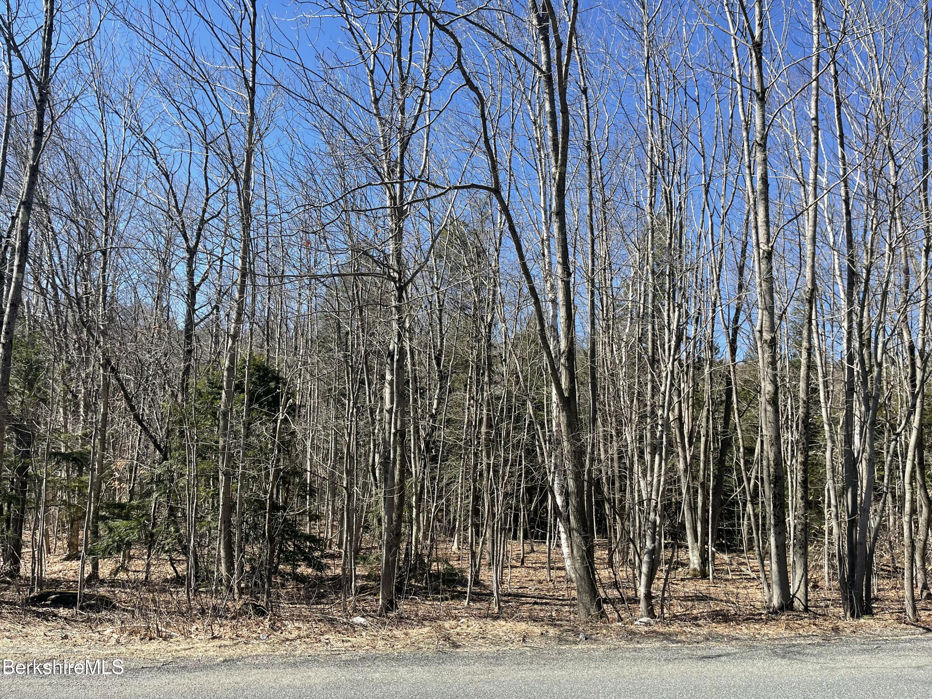 Lot 2 Central Shaft Rd, Florida, Massachusetts image 2
