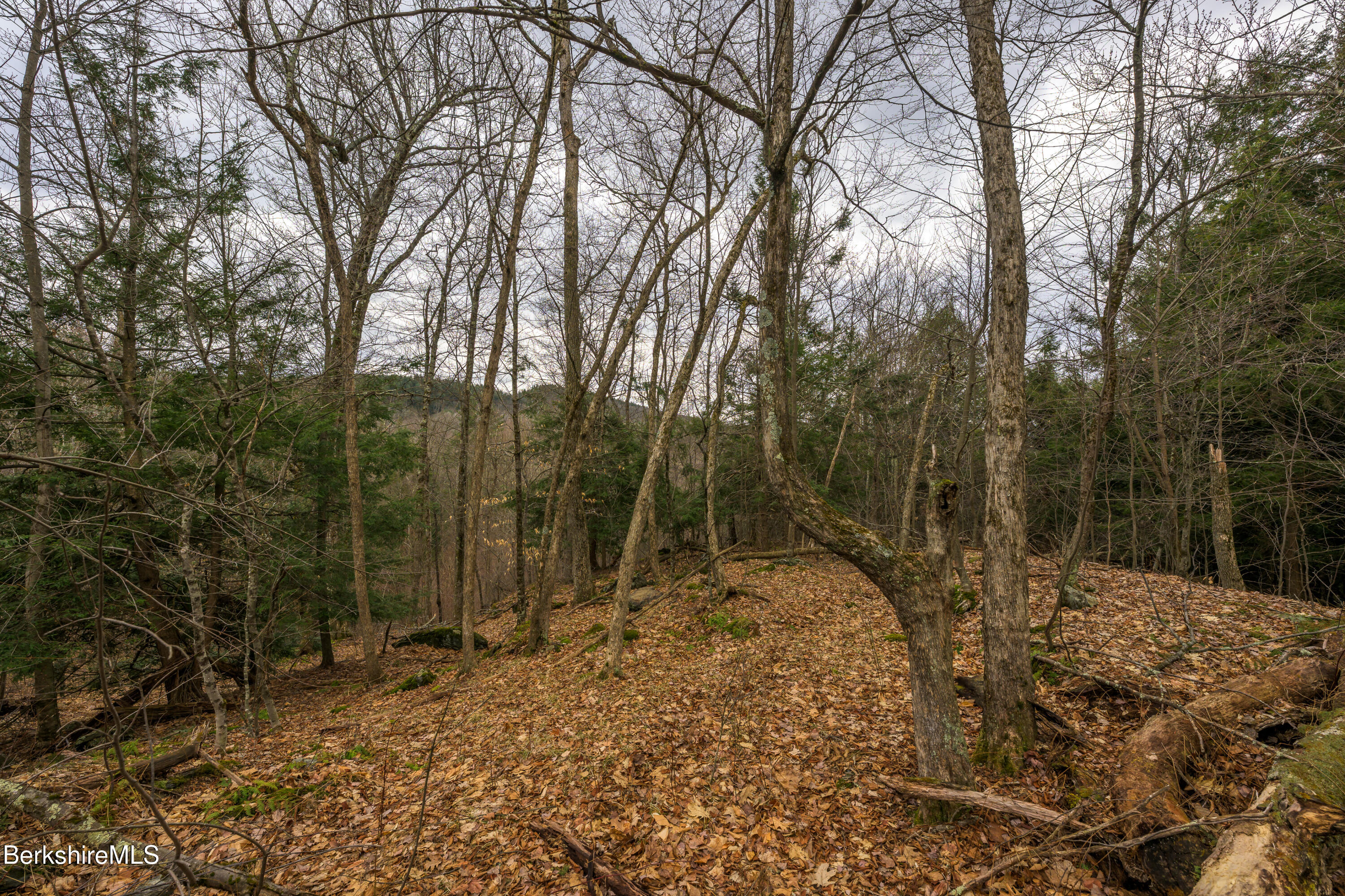 206 Stevens Glen Rd, Richmond, Massachusetts image 22