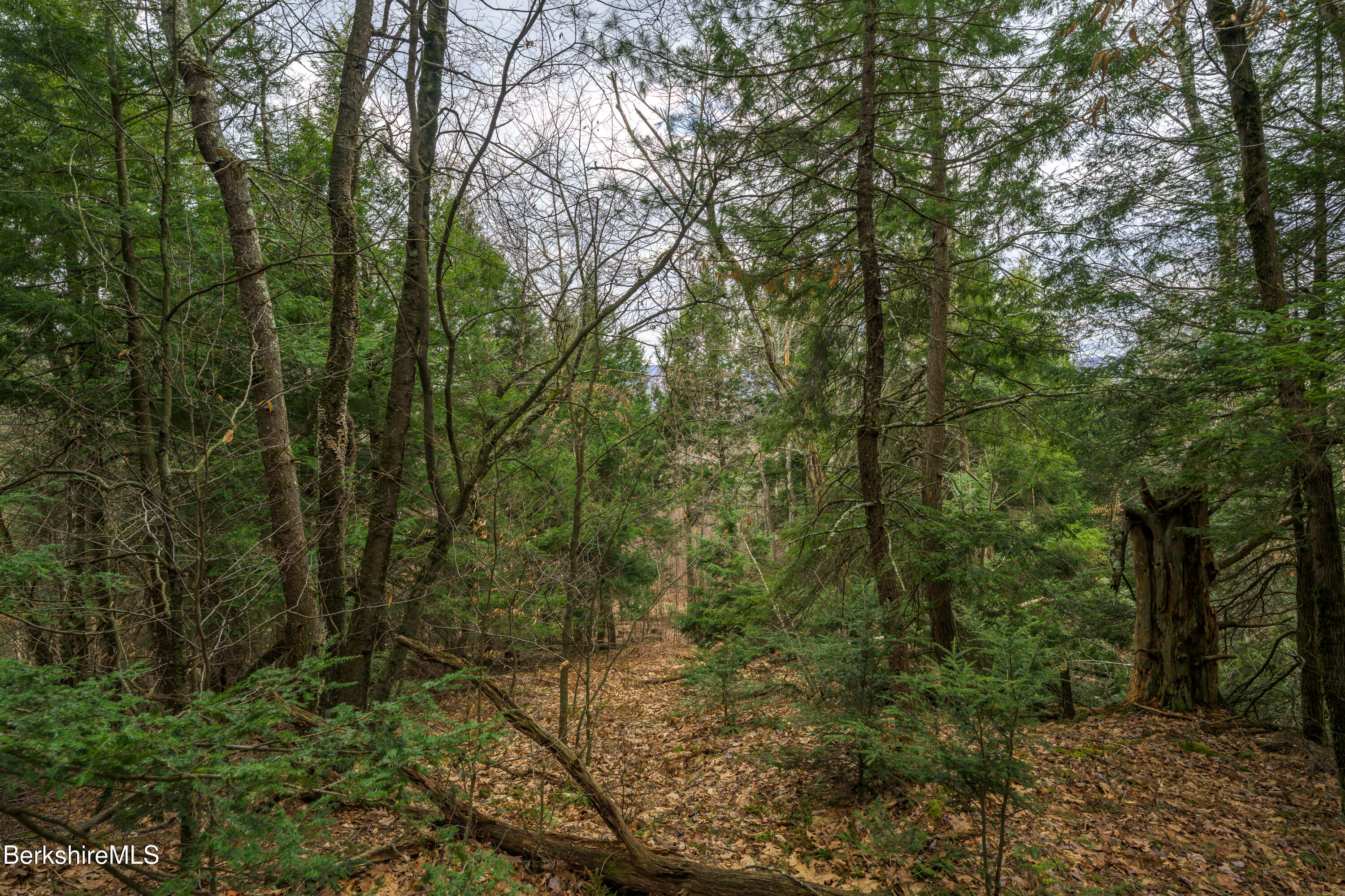 206 Stevens Glen Rd, Richmond, Massachusetts image 20
