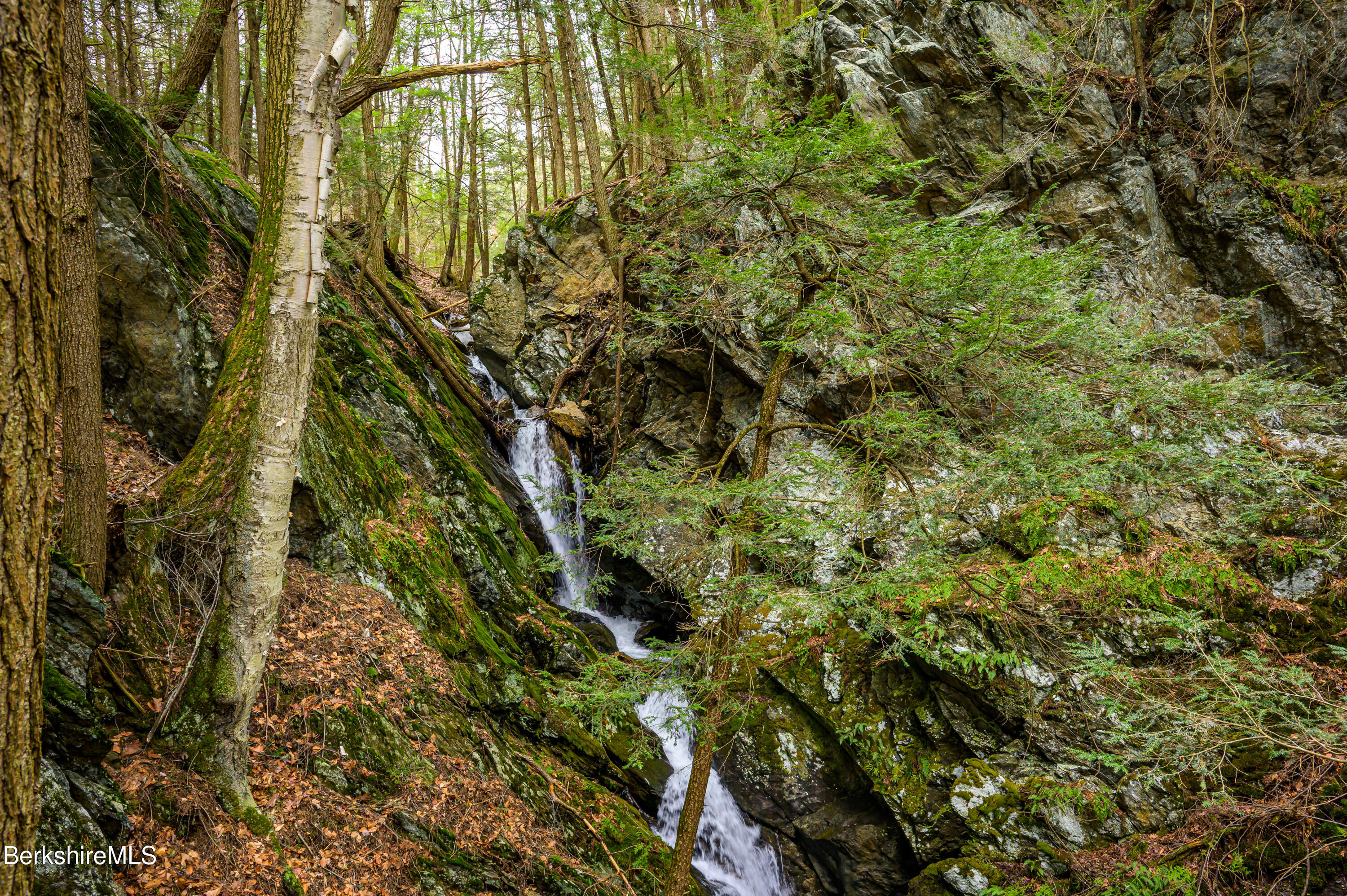 206 Stevens Glen Rd, Richmond, Massachusetts image 37