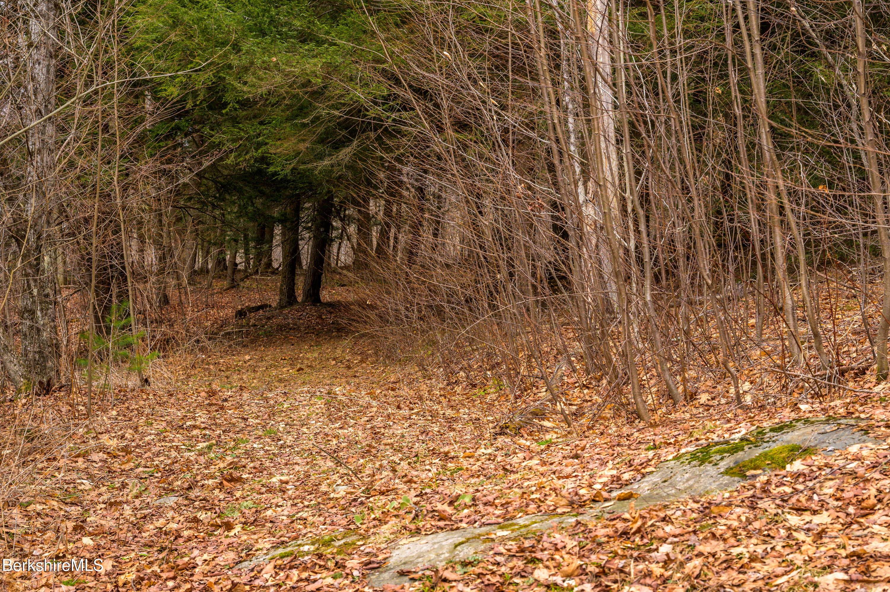 206 Stevens Glen Rd, Richmond, Massachusetts image 28