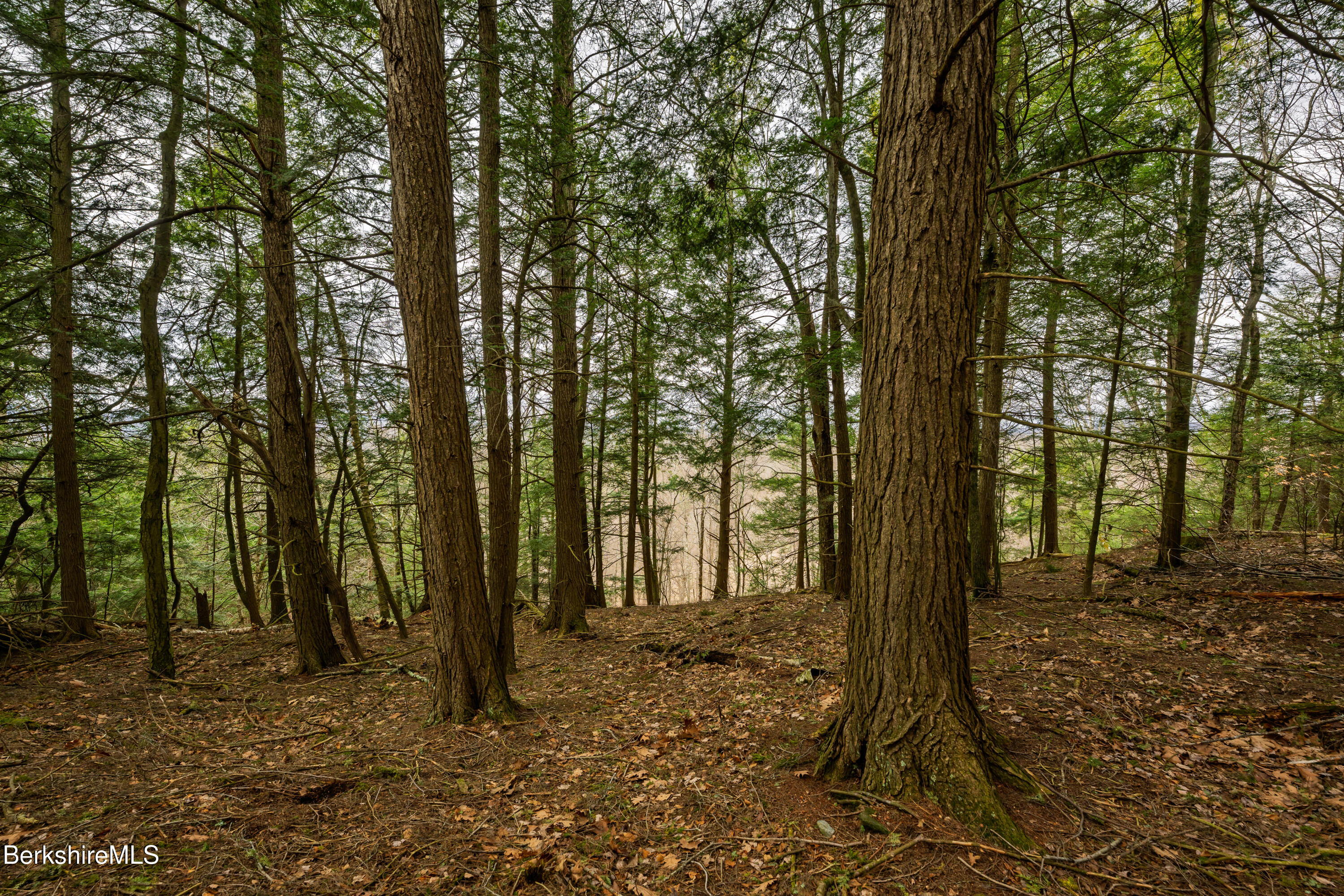 206 Stevens Glen Rd, Richmond, Massachusetts image 23