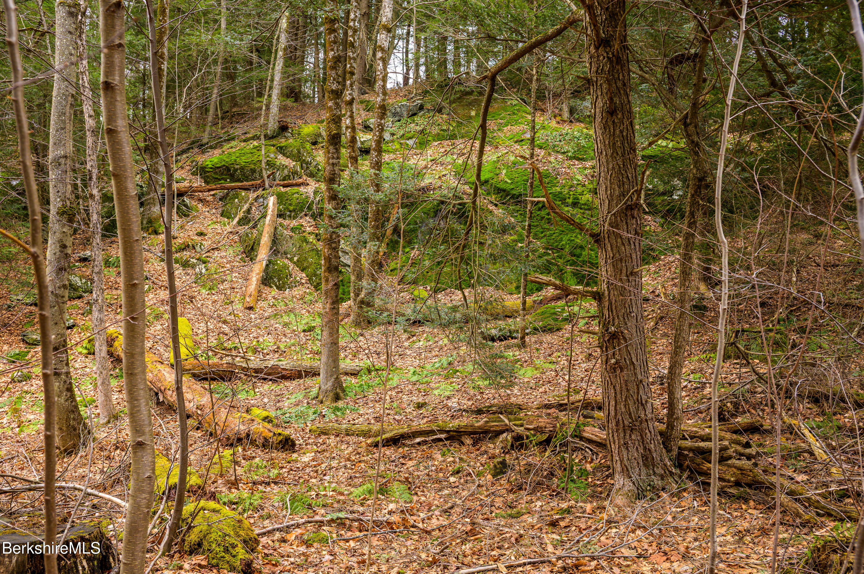 206 Stevens Glen Rd, Richmond, Massachusetts image 27