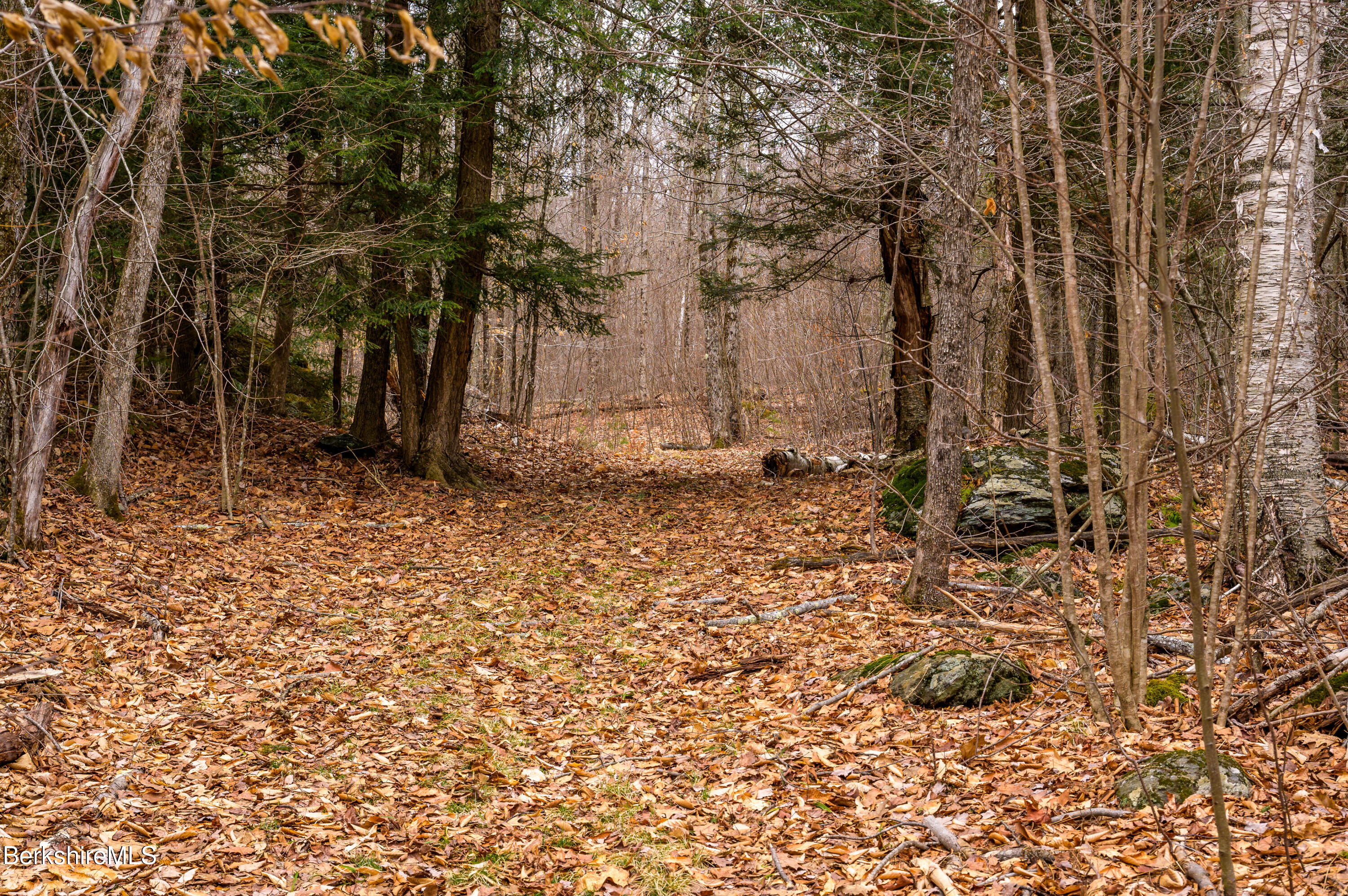 206 Stevens Glen Rd, Richmond, Massachusetts image 30