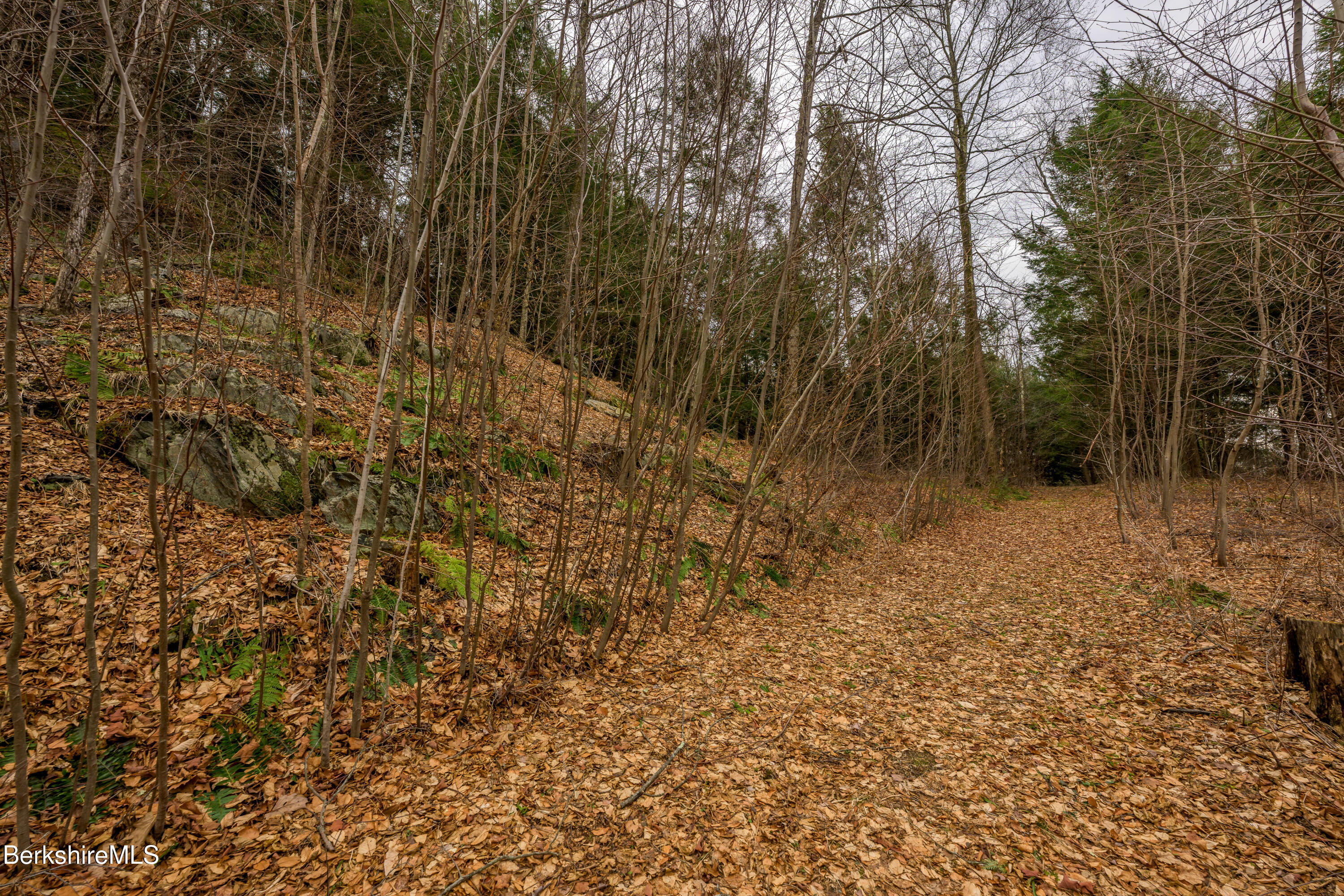 206 Stevens Glen Rd, Richmond, Massachusetts image 15