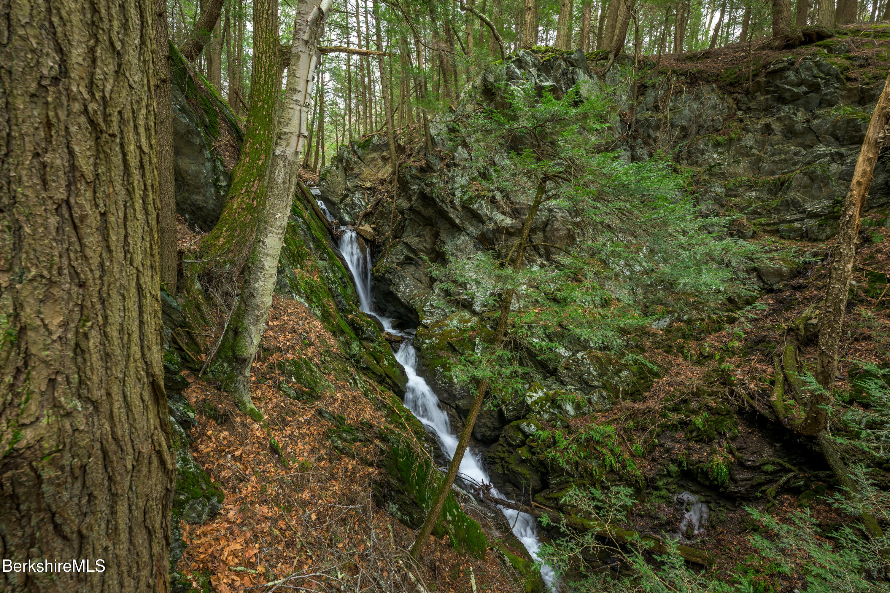 206 Stevens Glen Rd, Richmond, Massachusetts image 35