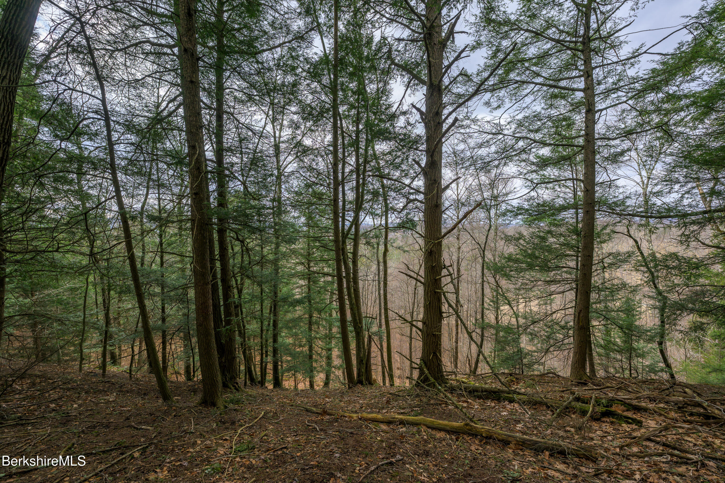 206 Stevens Glen Rd, Richmond, Massachusetts image 24