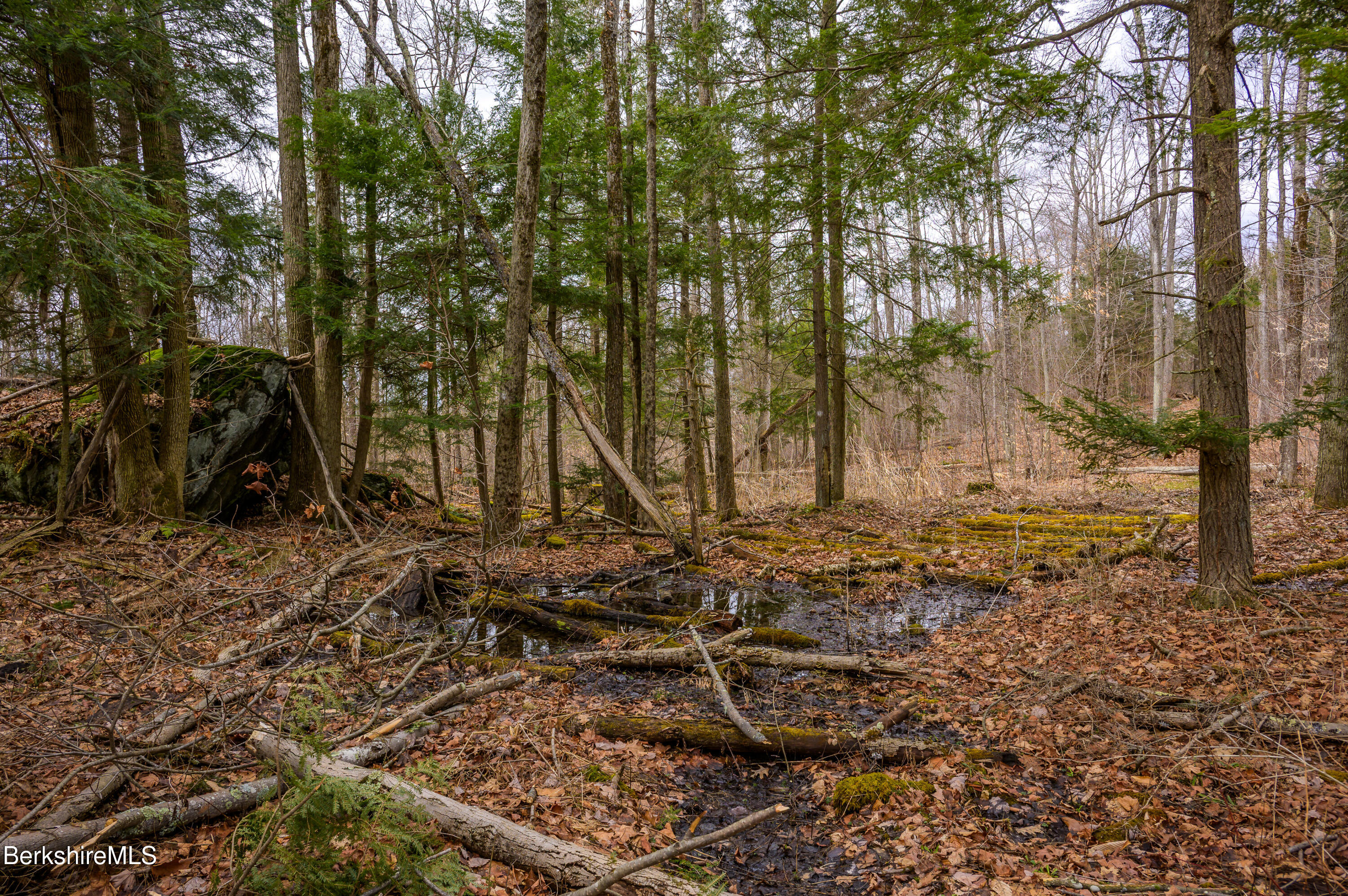 206 Stevens Glen Rd, Richmond, Massachusetts image 29