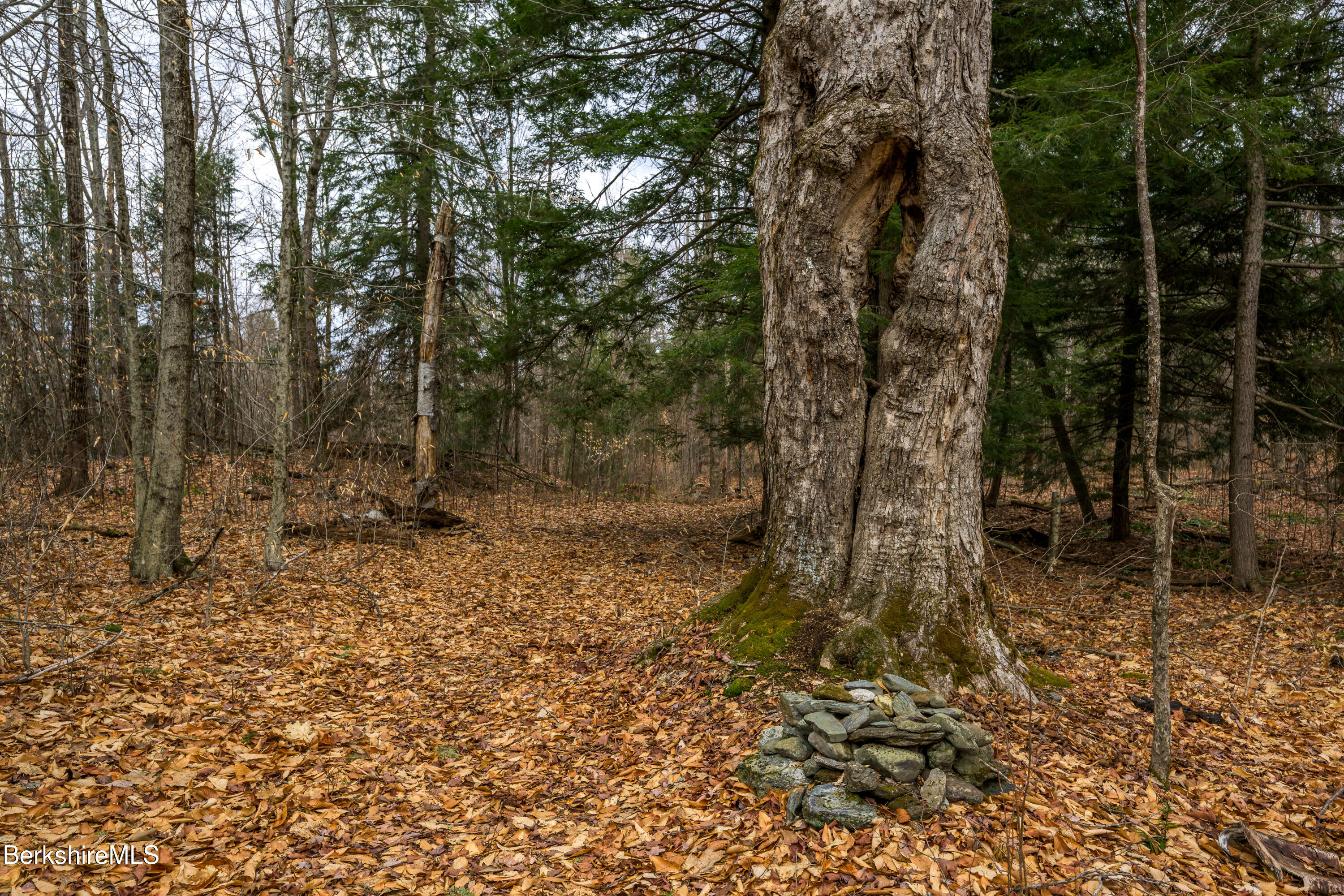 206 Stevens Glen Rd, Richmond, Massachusetts image 25