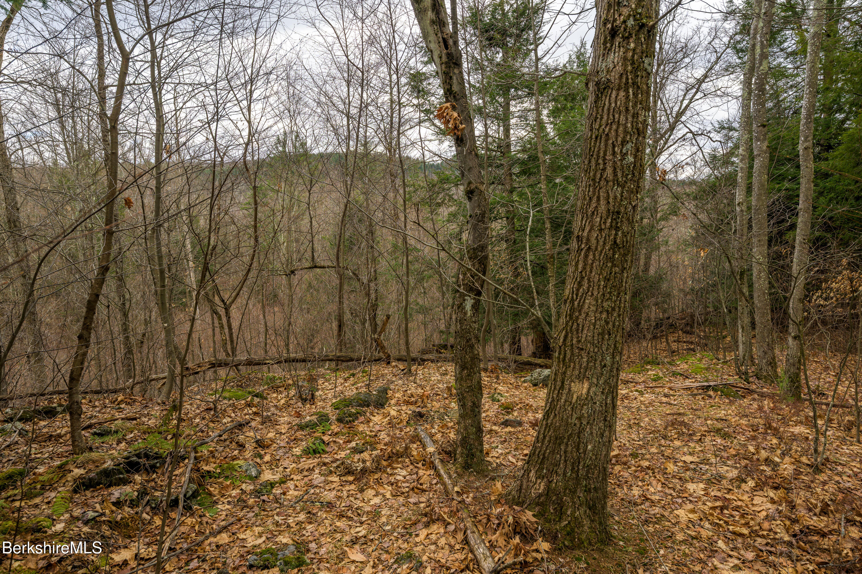 206 Stevens Glen Rd, Richmond, Massachusetts image 21