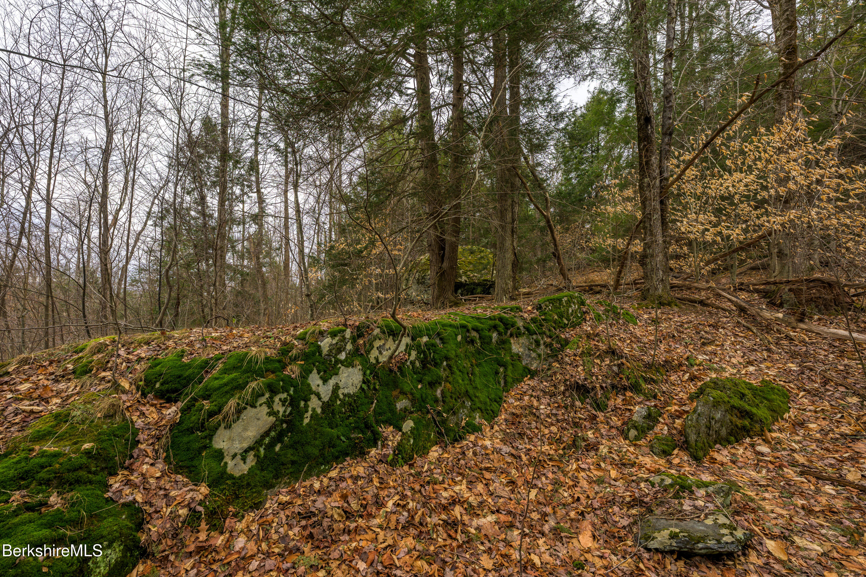 206 Stevens Glen Rd, Richmond, Massachusetts image 18