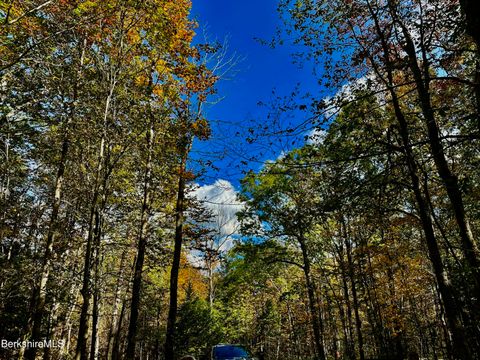 Vacant Land For Sale - 88 Church Rd<br/> Florida, MA 01247