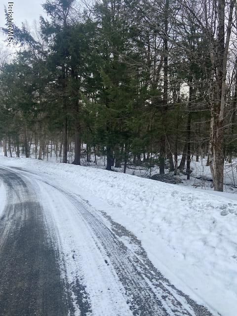 Vacant Land For Sale - Kreutzer Rd<br/> Peru, MA 01235