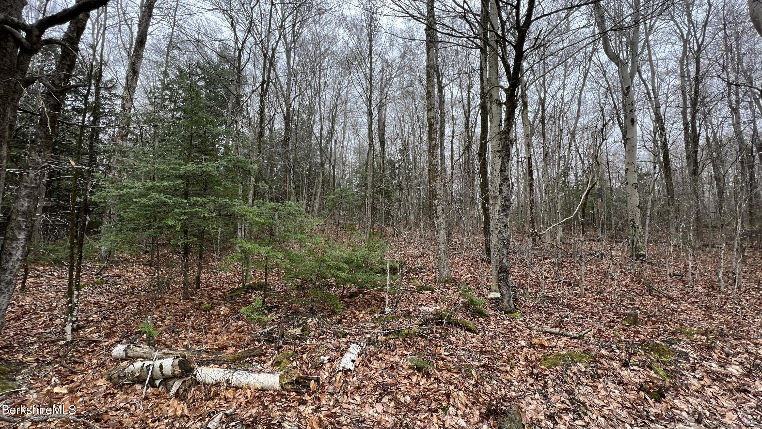 Lot16 Chester Rd, Middlefield, Massachusetts image 8