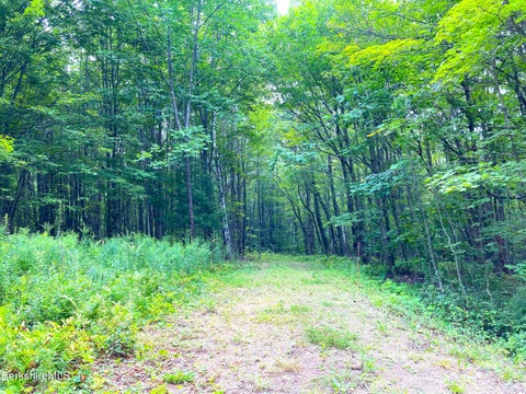 Vacant Land For Sale - Monroe Rd<br/> Florida, MA 01247
