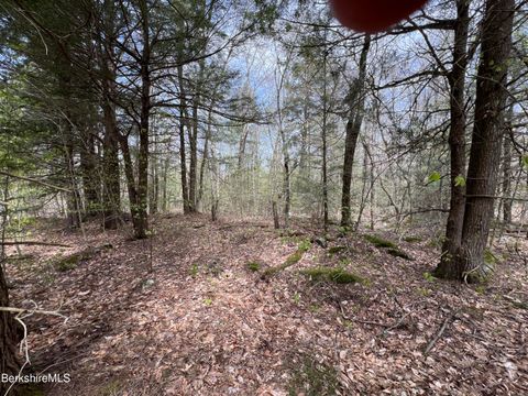 Vacant Land For Sale - LOT19 Skyline Ridge Rd<br/> Becket, MA 01223
